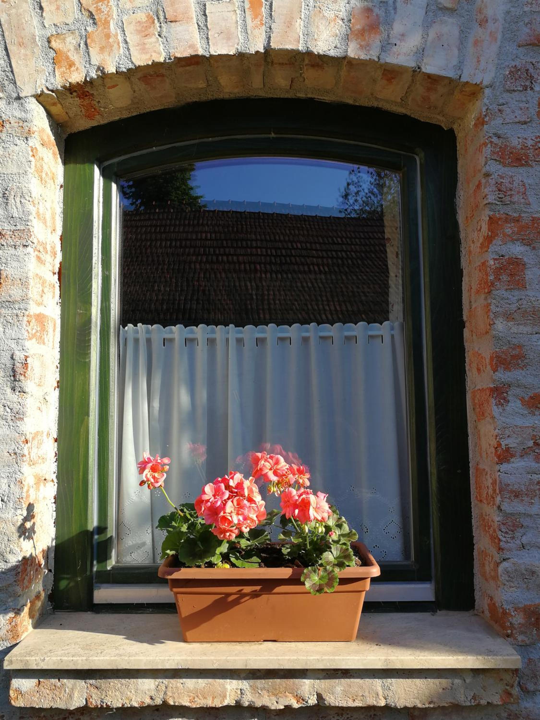 Photo 38