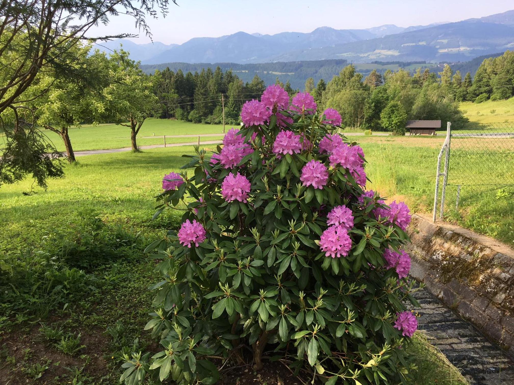 Haus Kleiner Seeblick