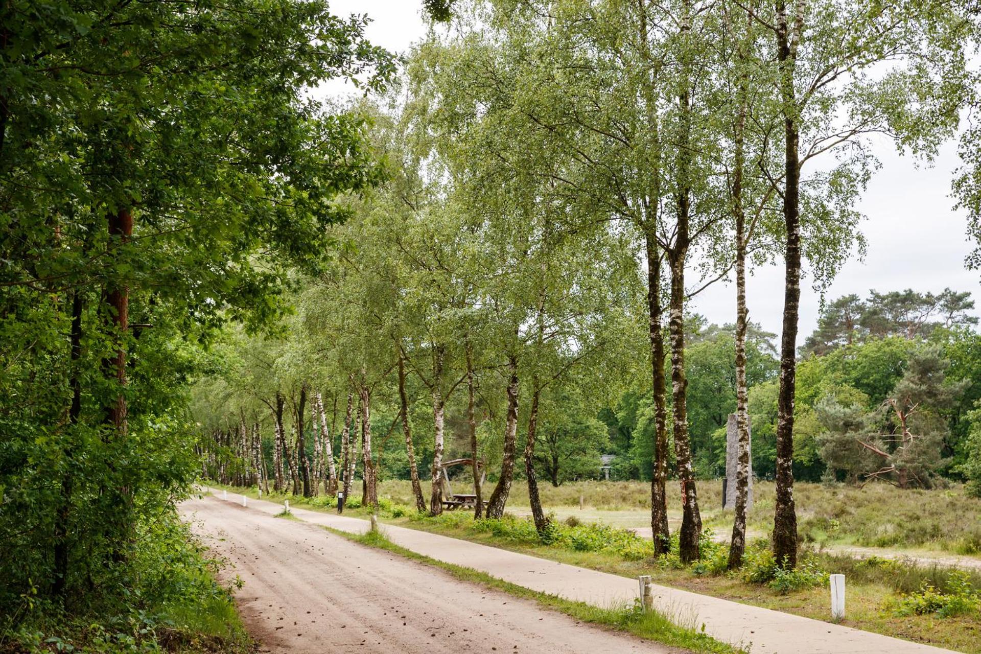 Velo-Droom