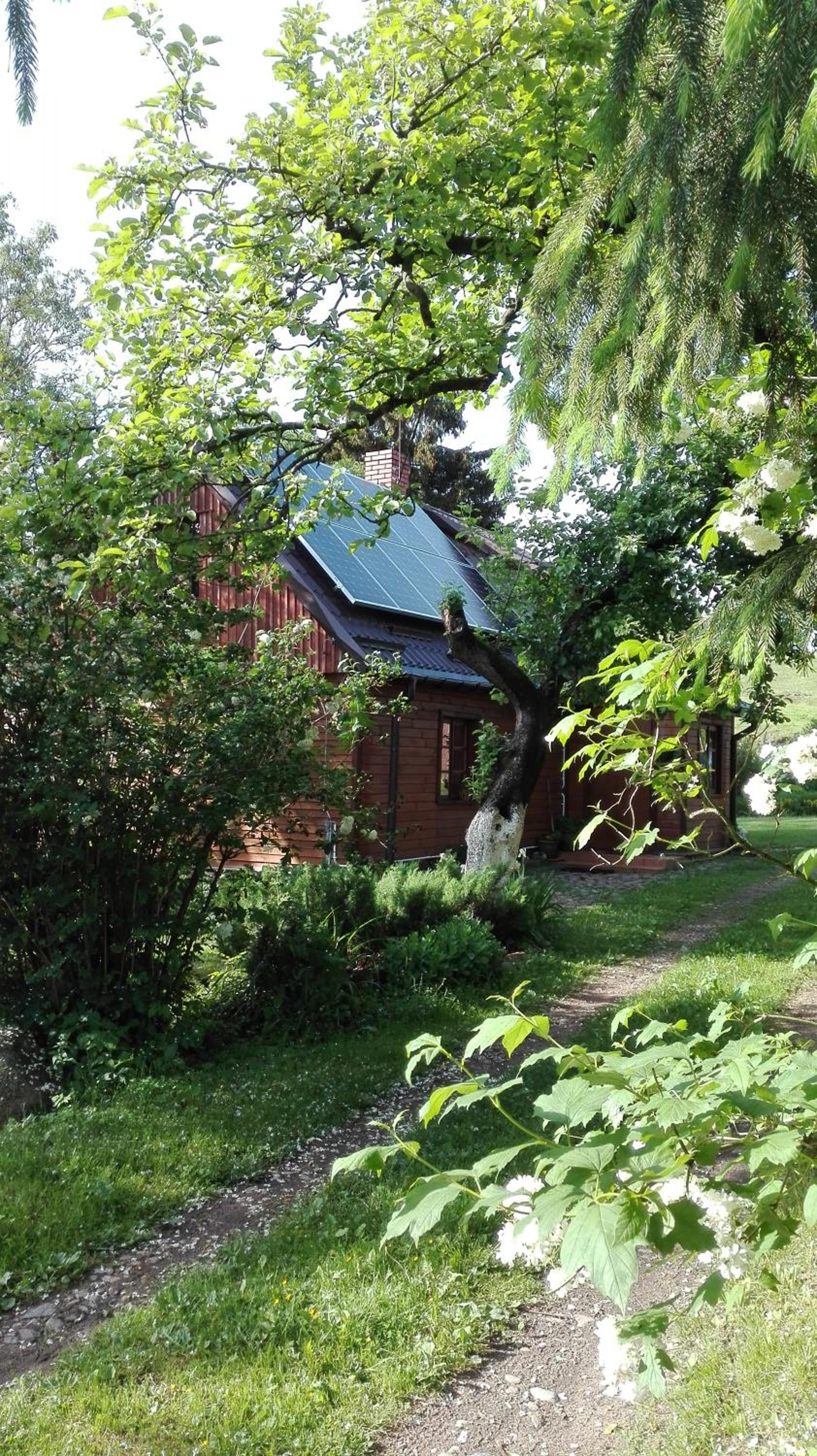 Photo 15
