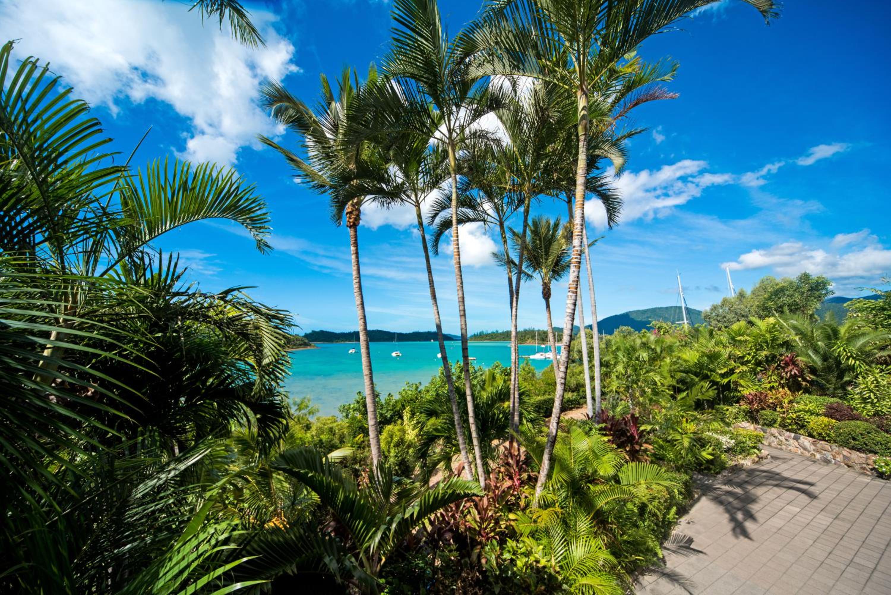 Baybliss Escape #3 - Adults Only