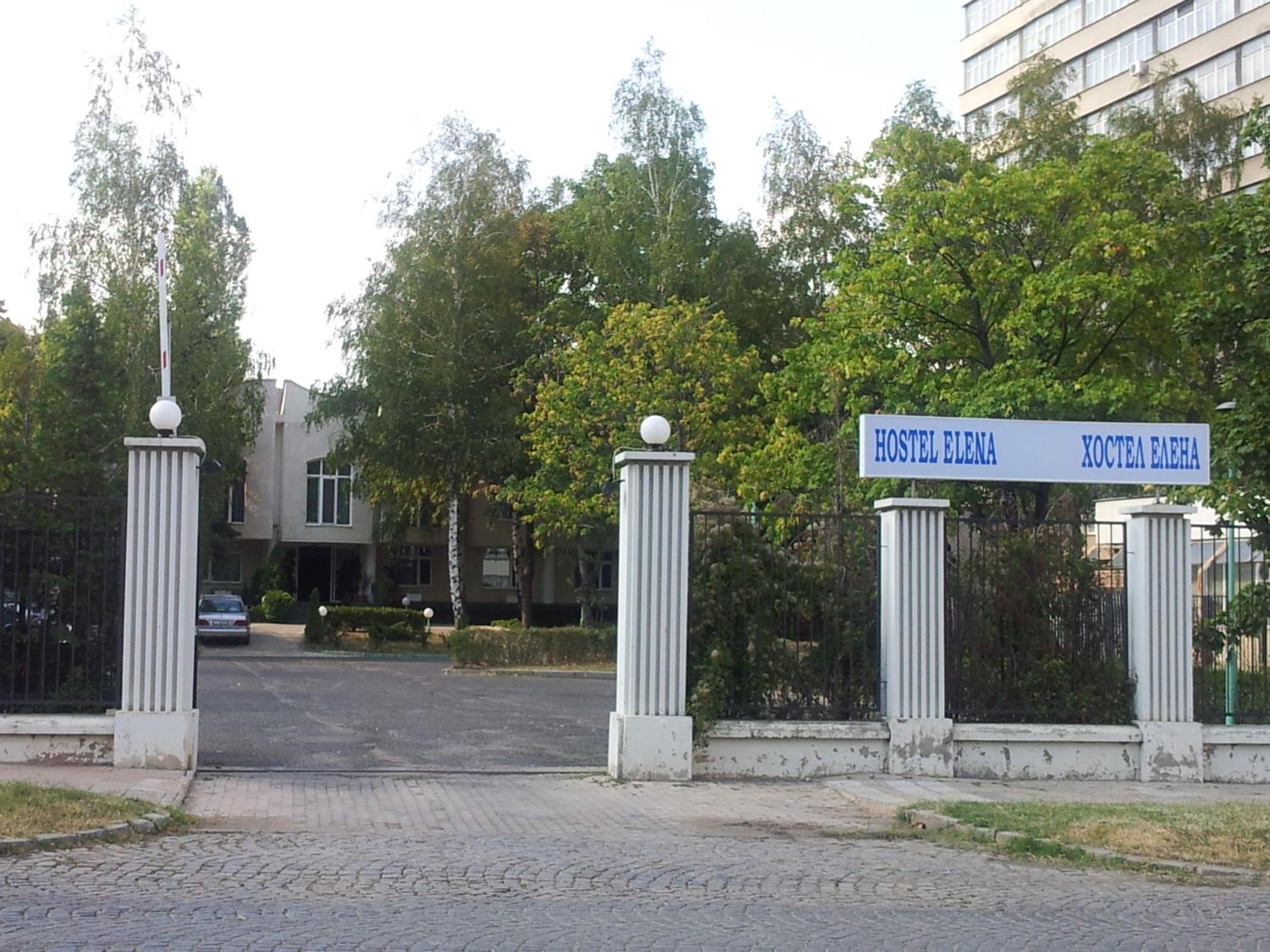 Hostel Elena