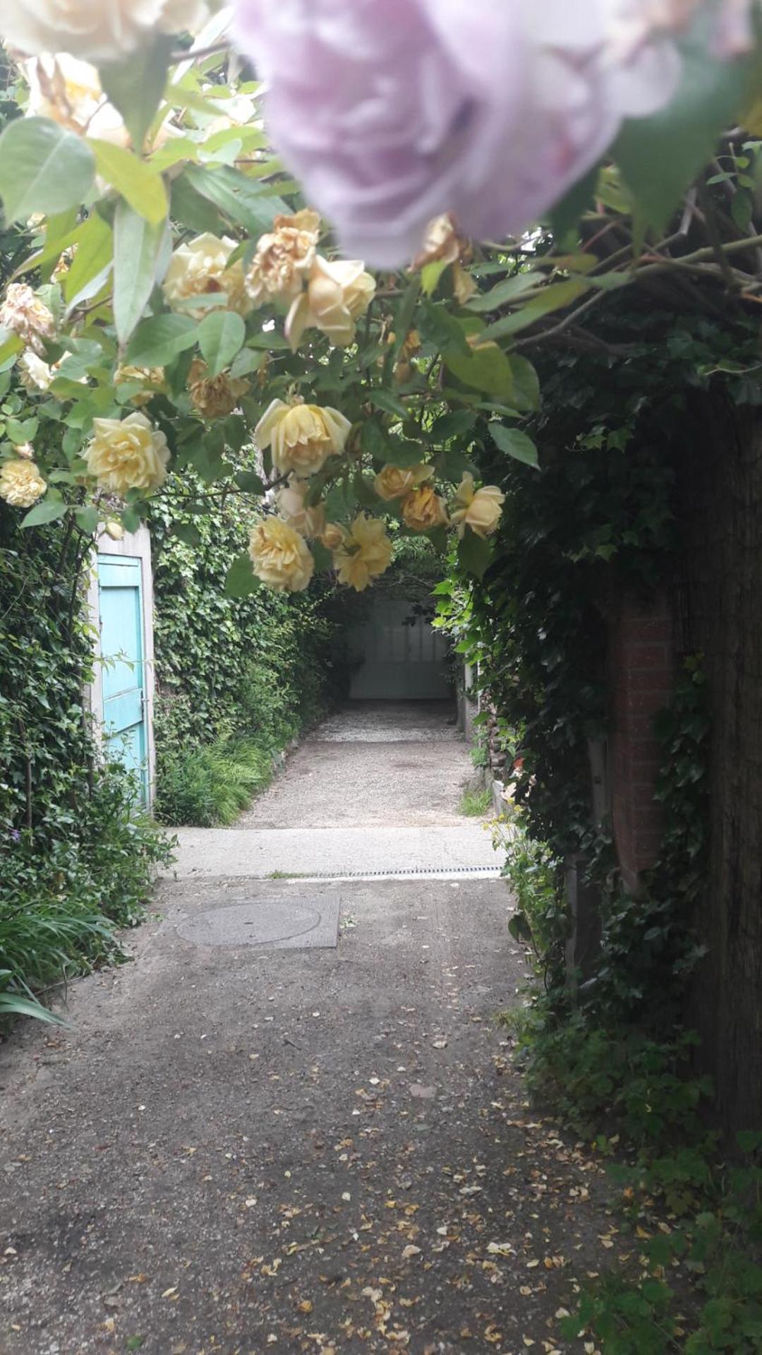 Villa des iris, photo 31