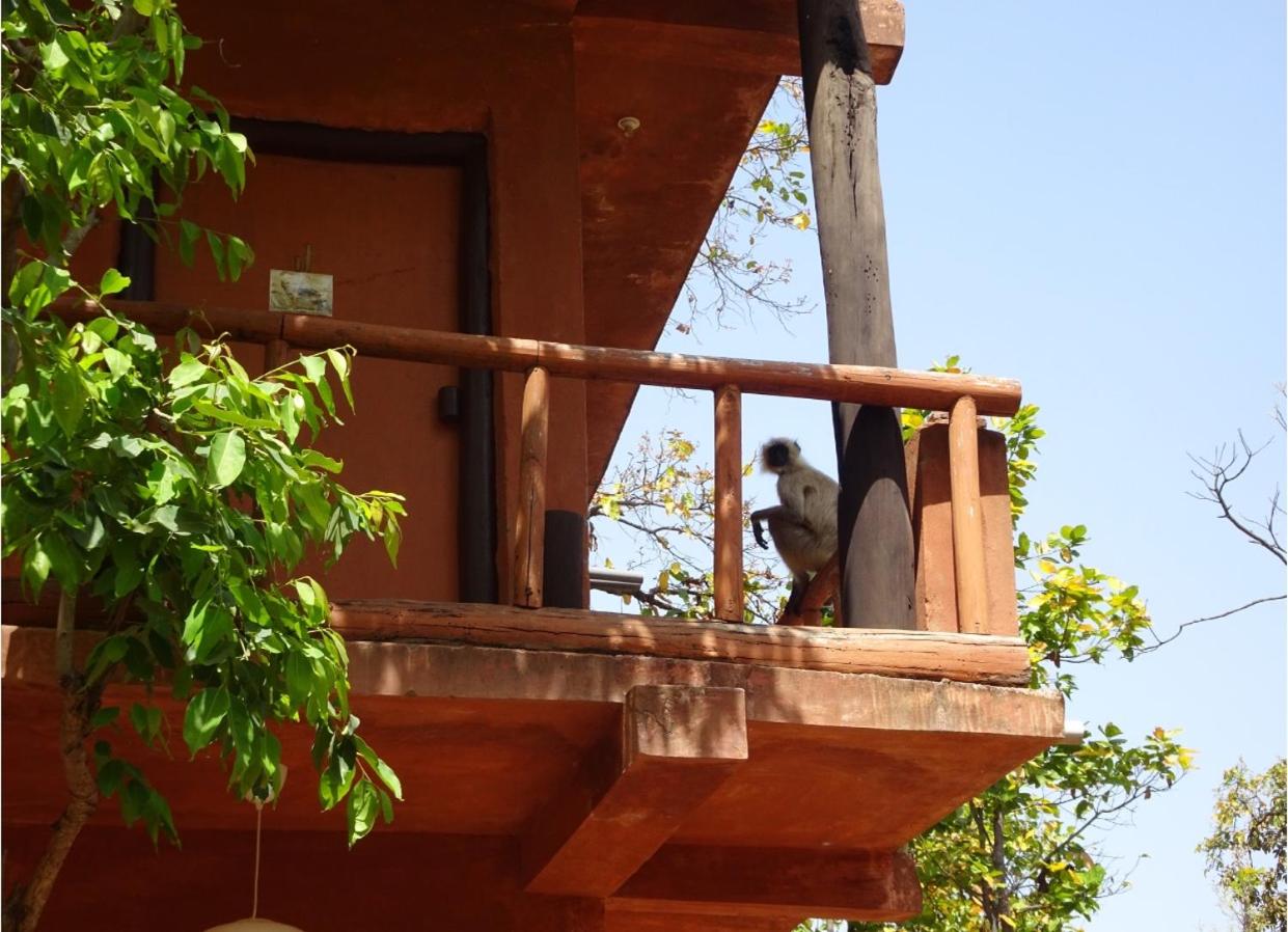 Emerald Tiger Retreat