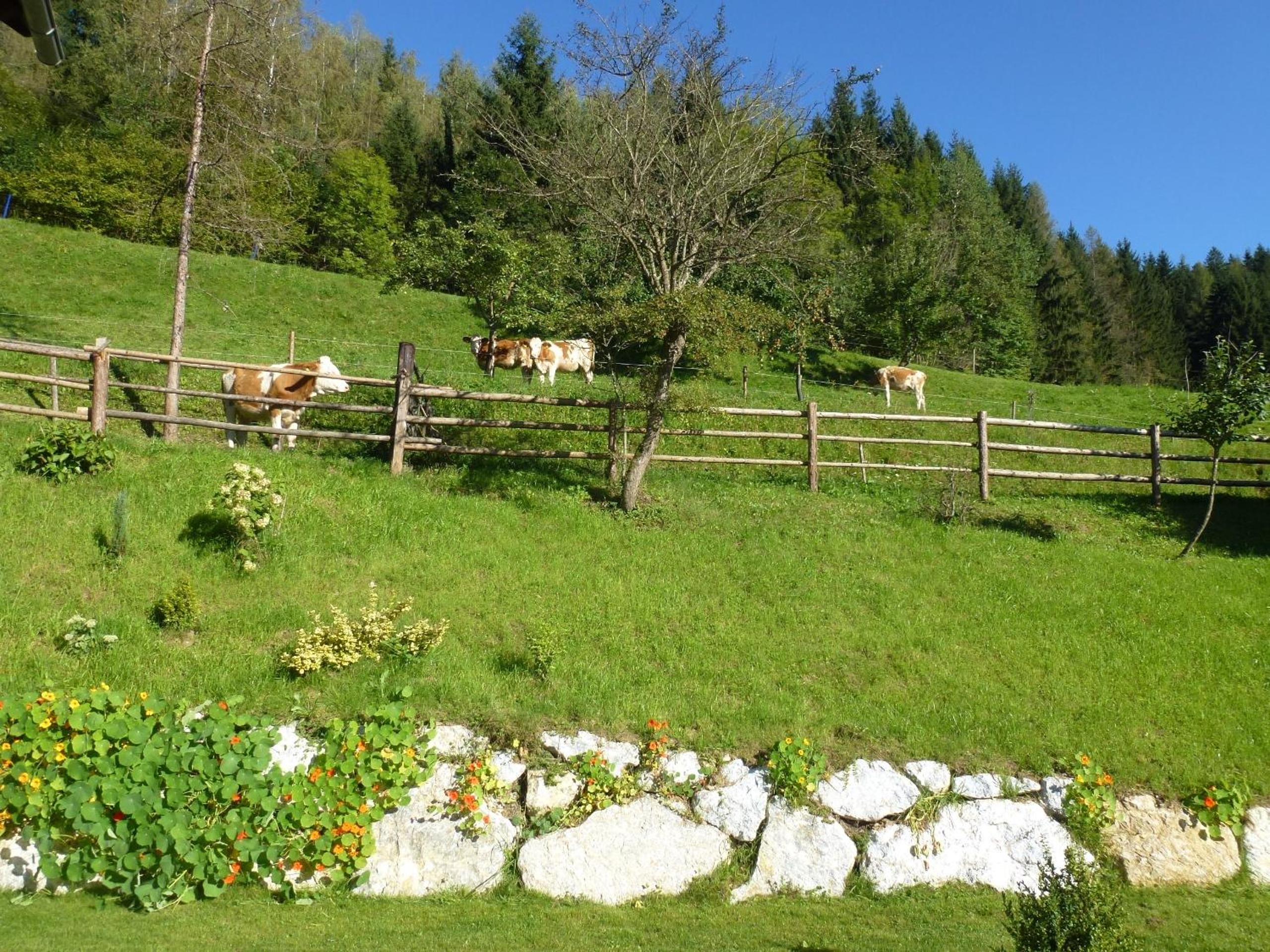 Pension Ehrenfried - Hotel garni