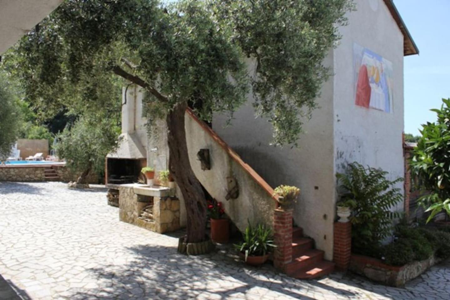 Fattoria Cristina Romantic Garden Studio with Pool & Farm Animals in Tuscany - Fenice