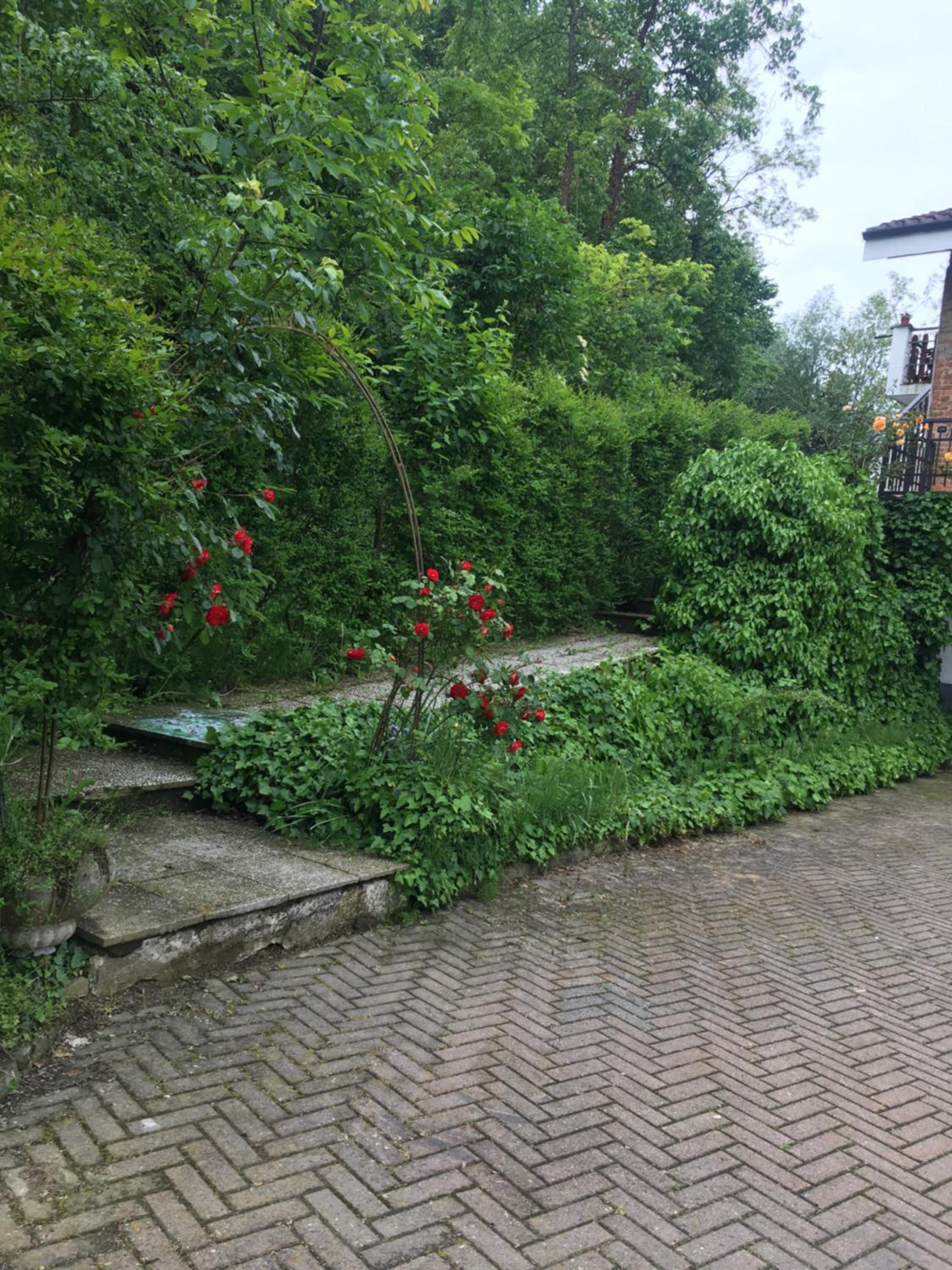 Photo 43