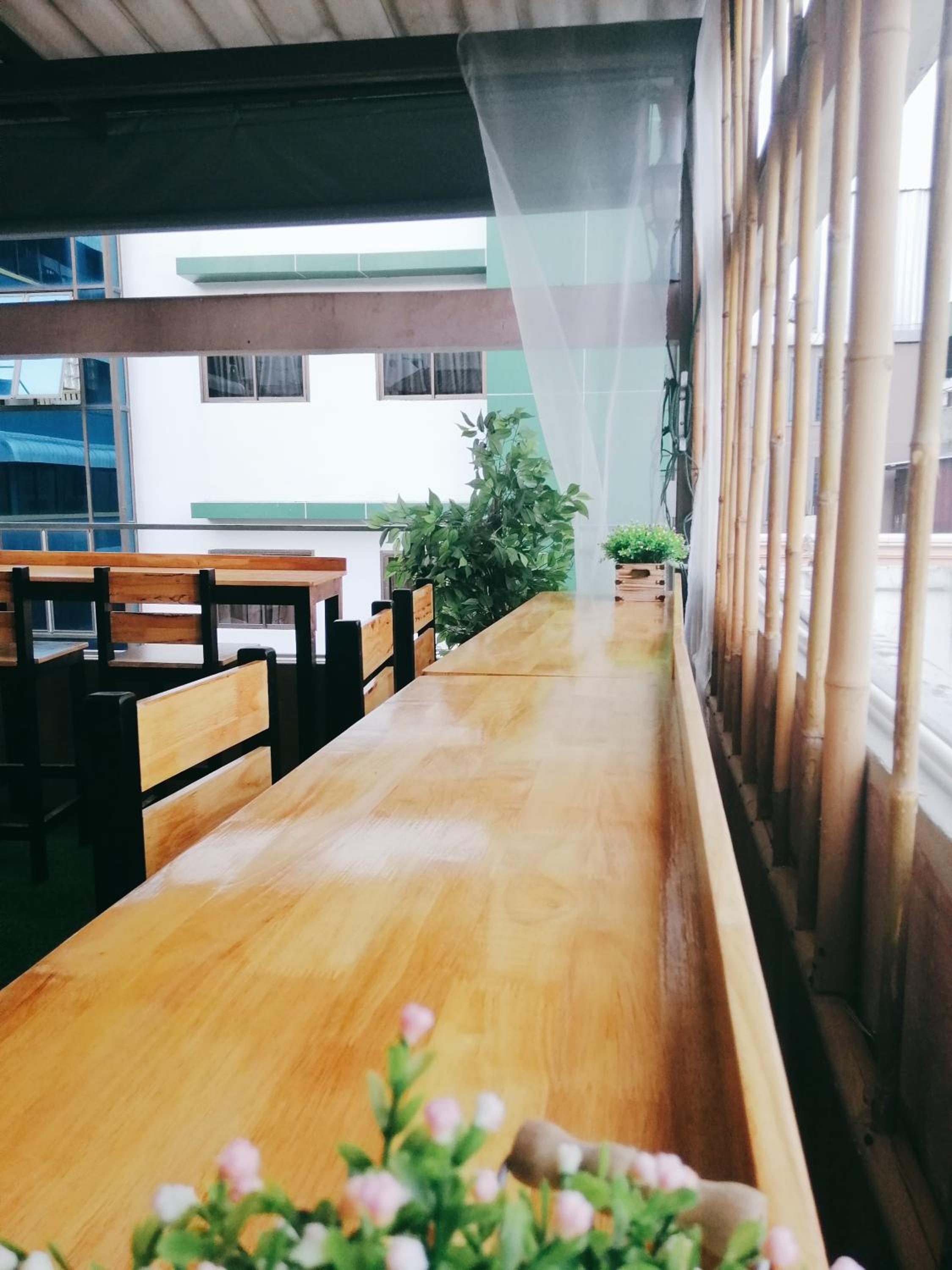 White House Hostel