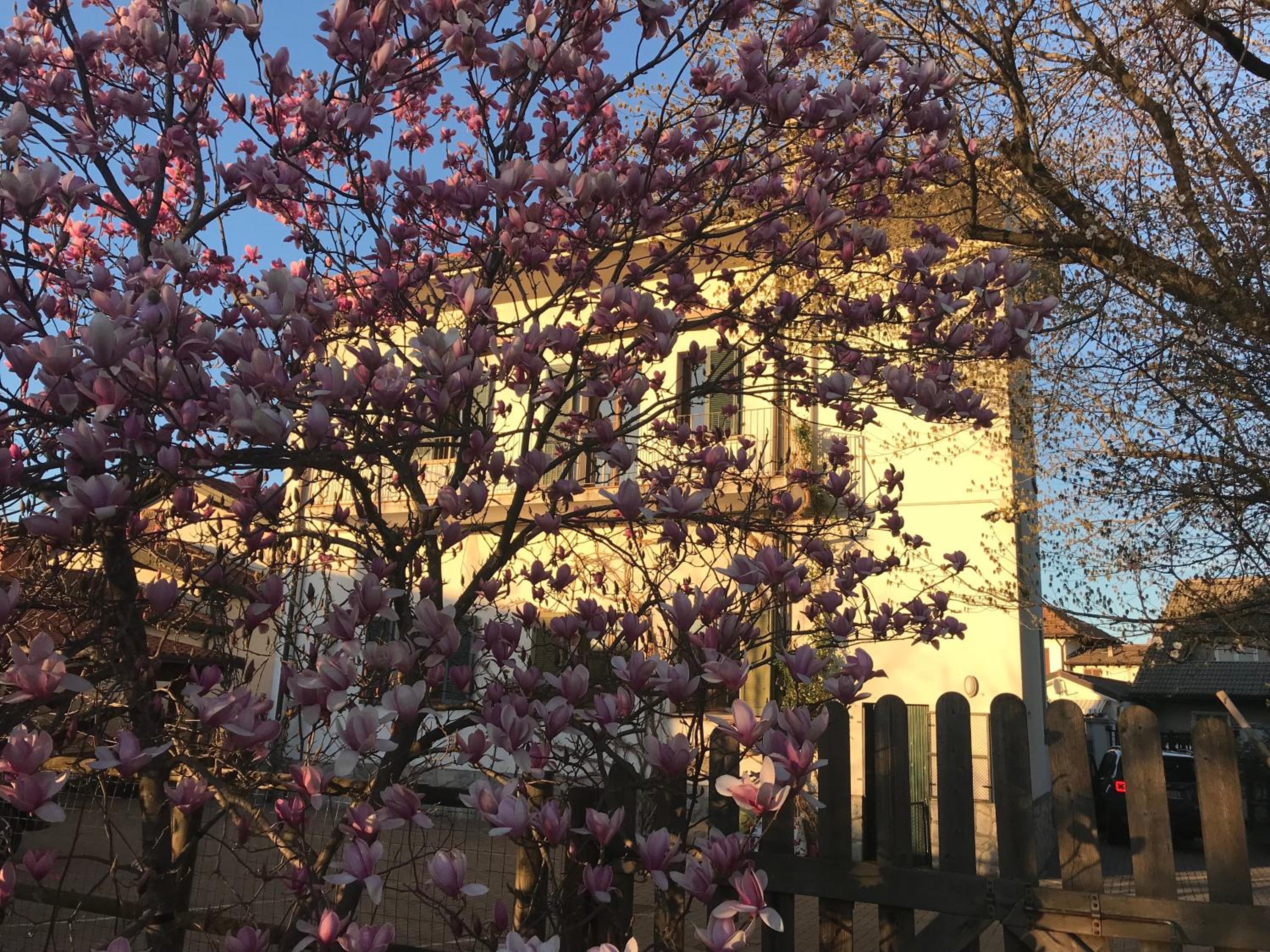 Casa Vacanze Magnolia