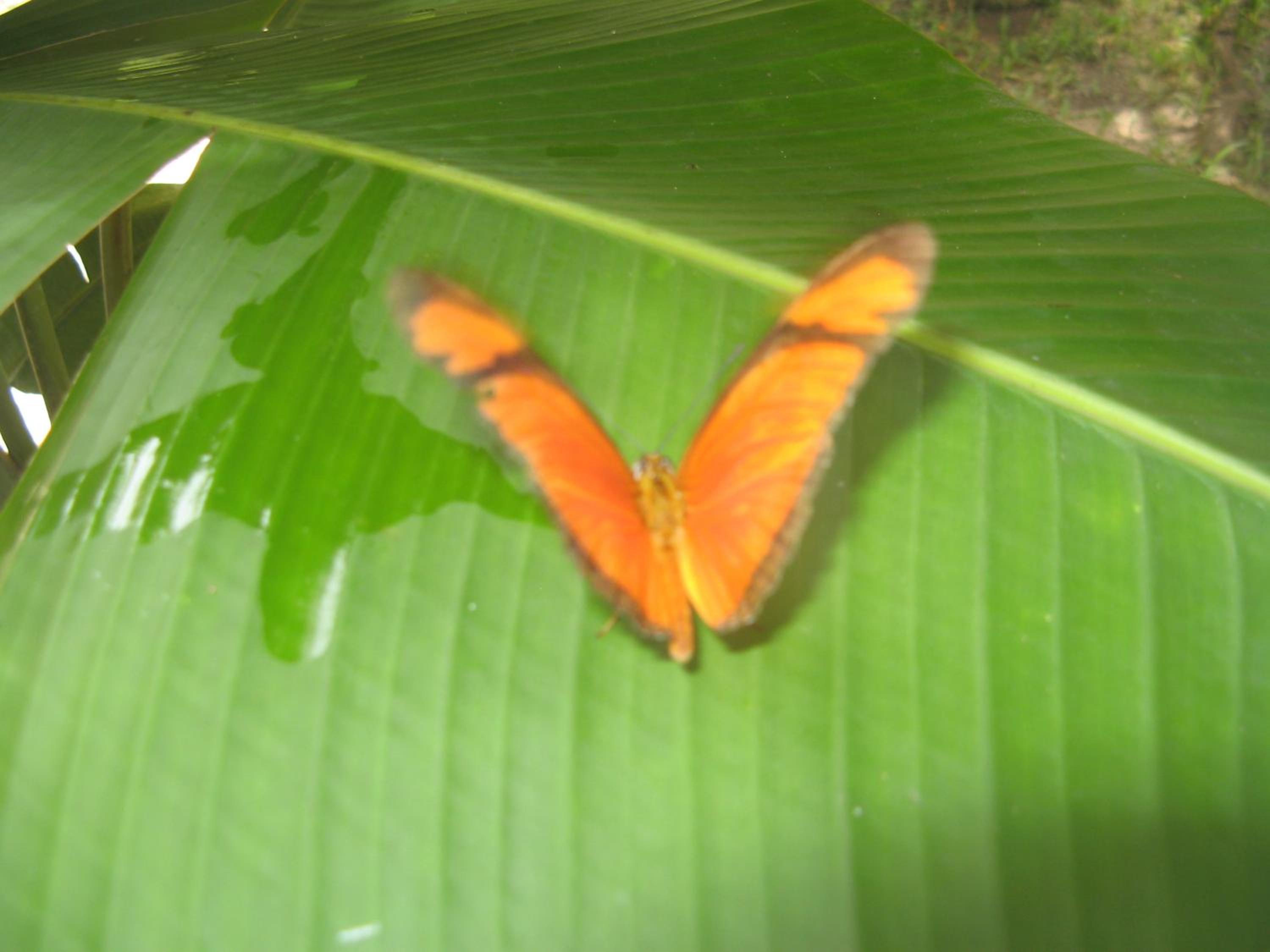 Rio Natureza apart 109