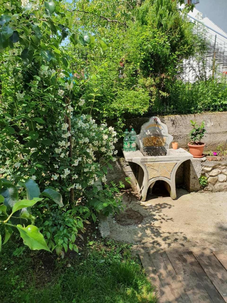 Apartment Kantarije