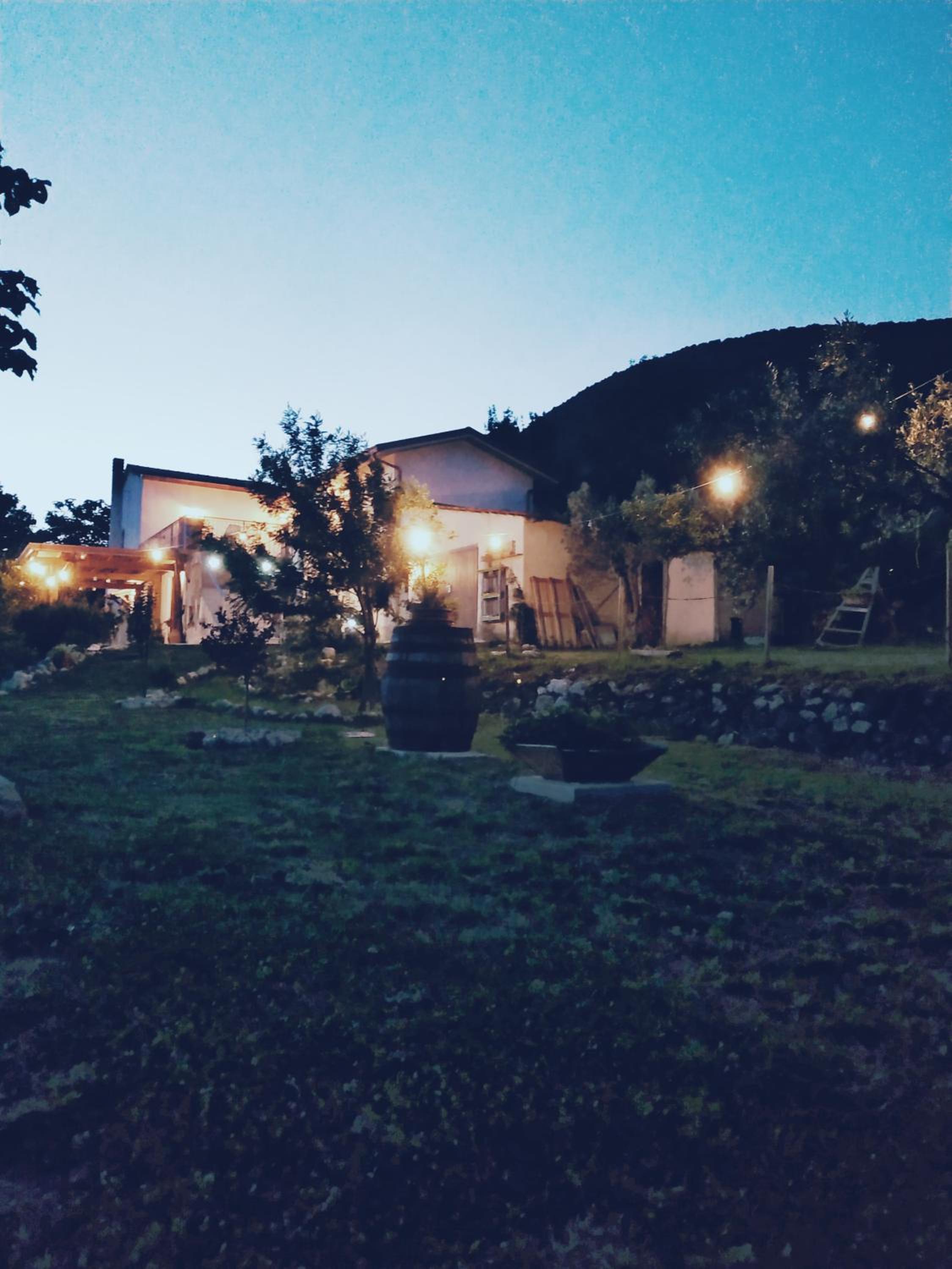 Photo 23