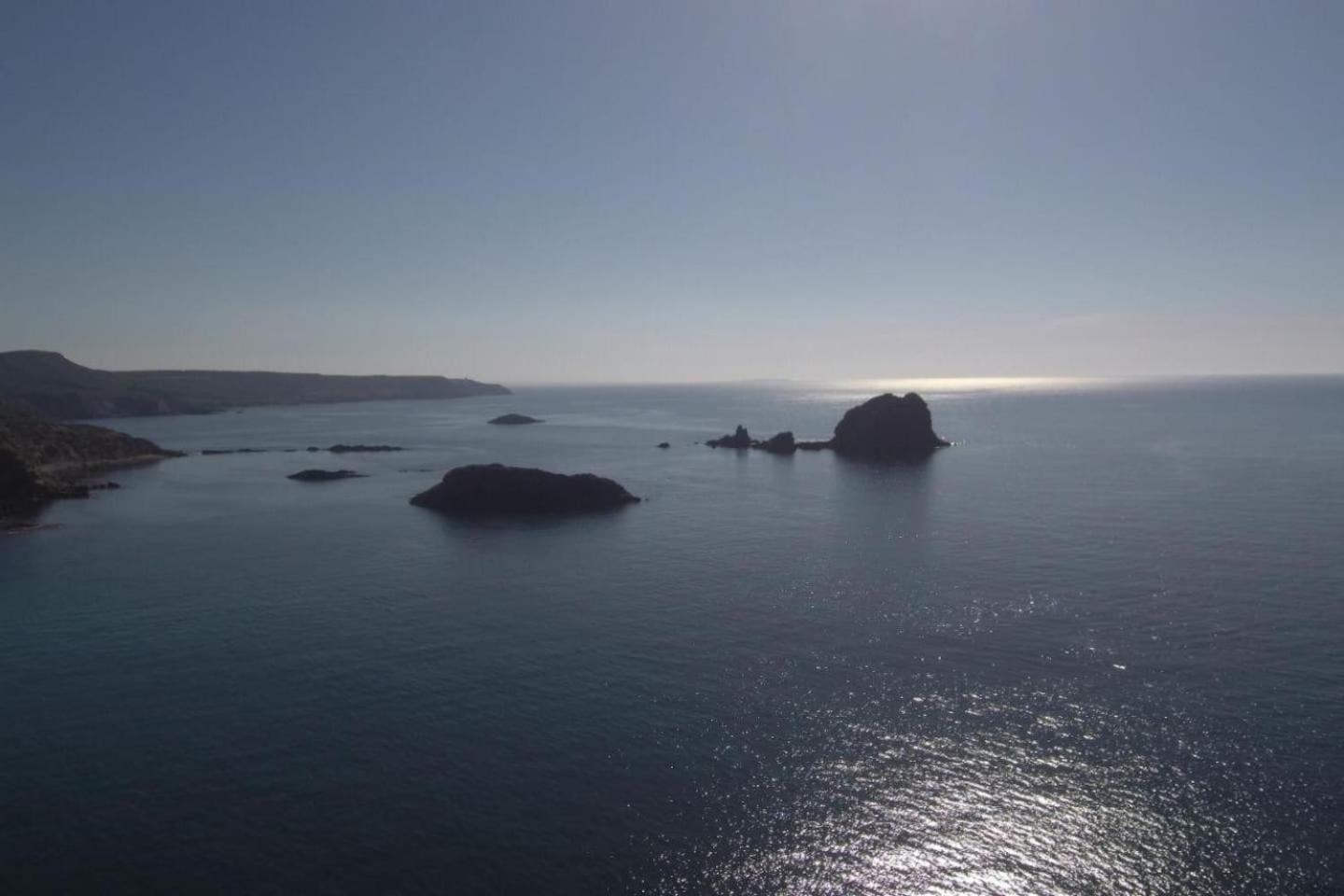 Photo 45