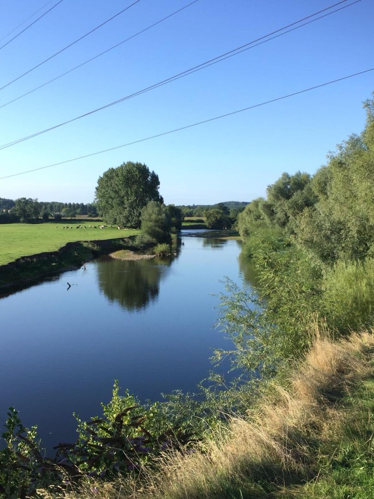 Photo 20