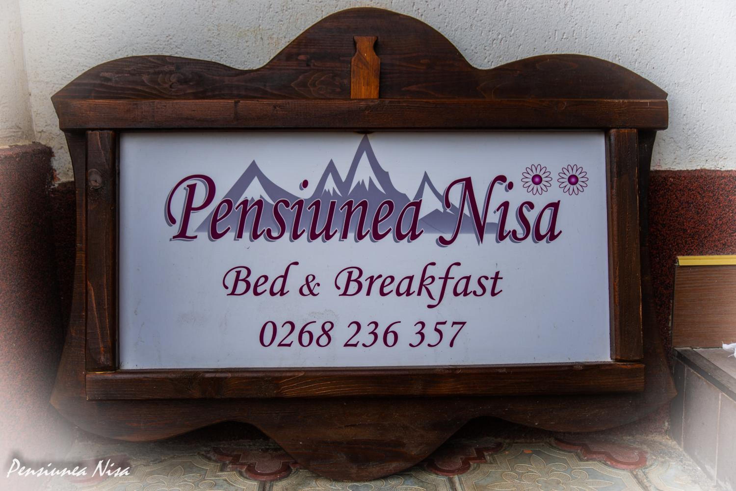 Pensiunea Nisa view 3