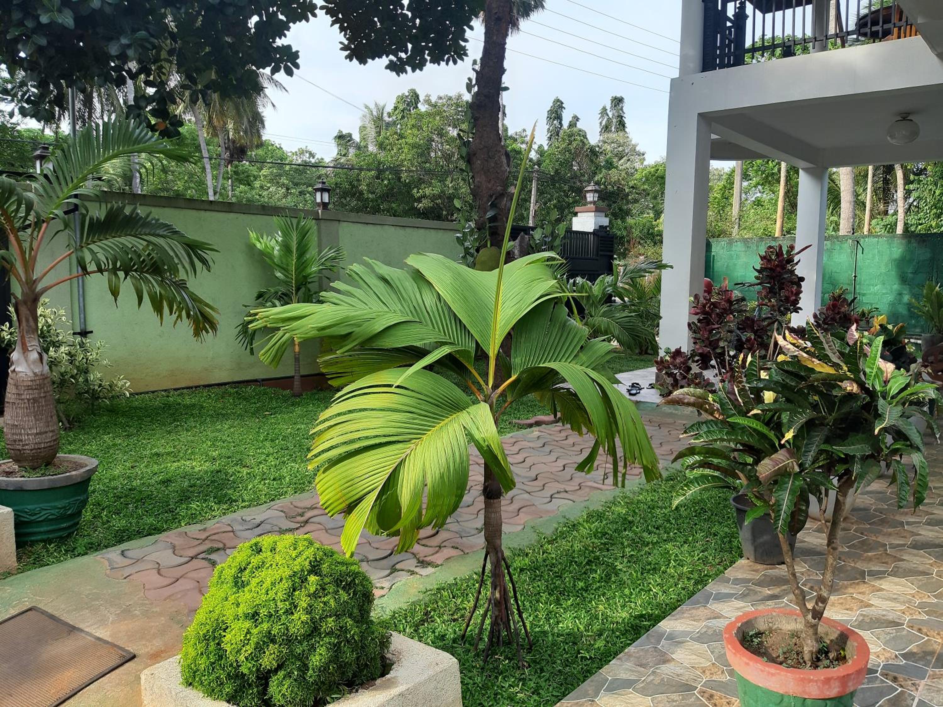 Marathona Tourist Resort - Anuradhapura