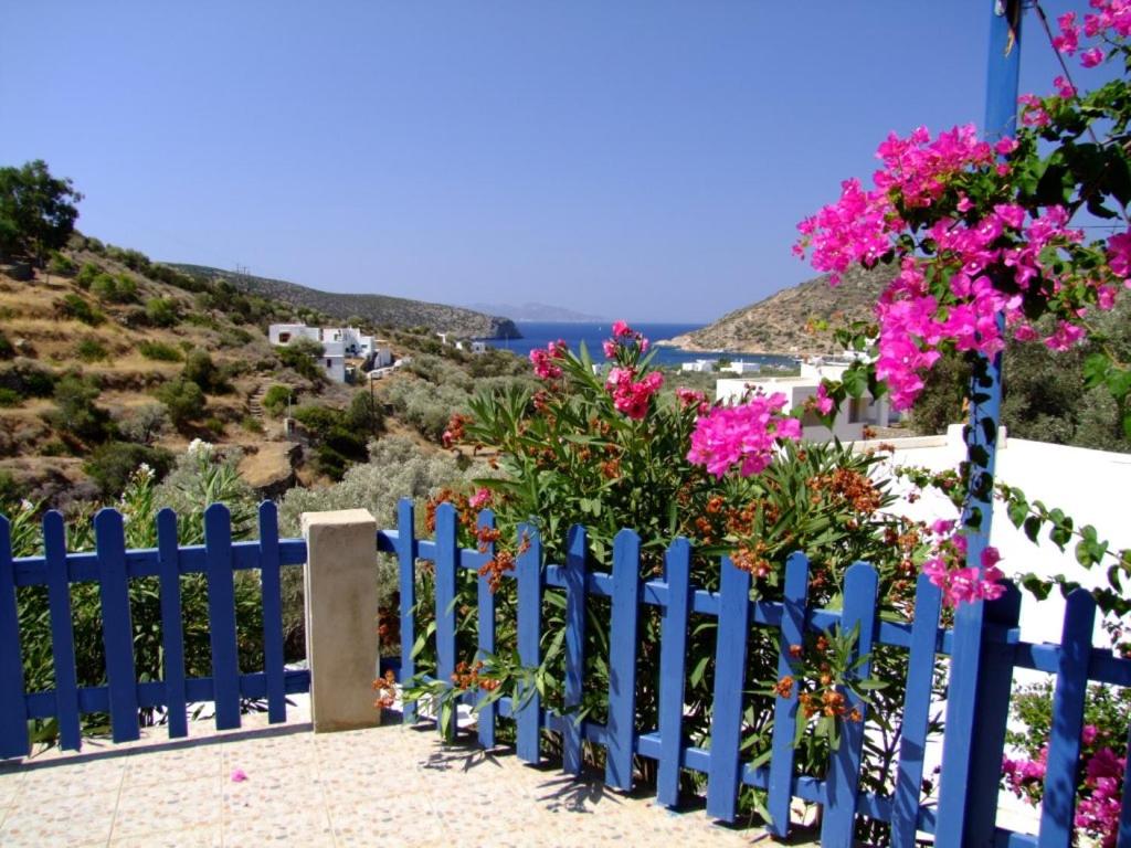 Photo 47
