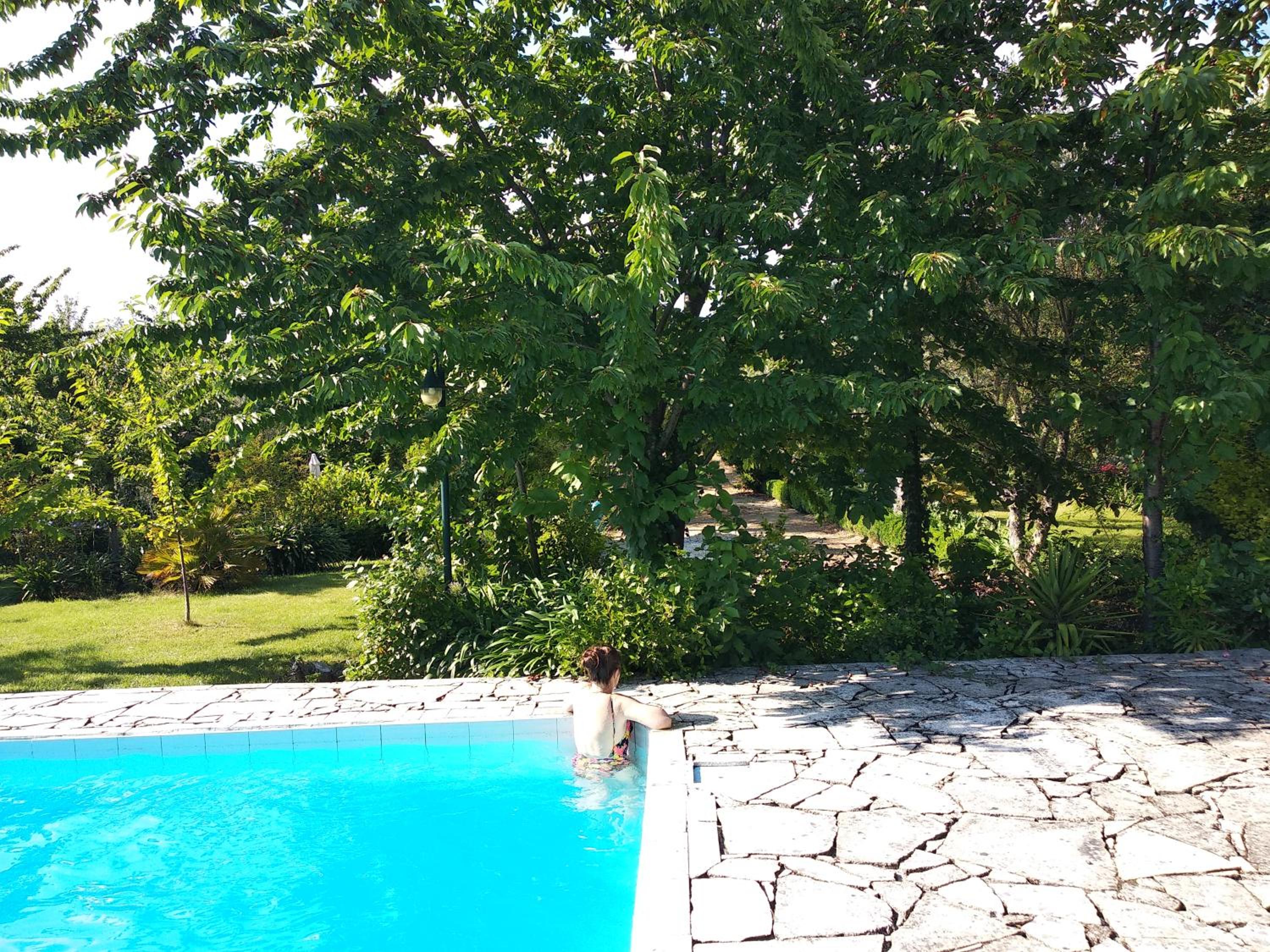 Photo 47