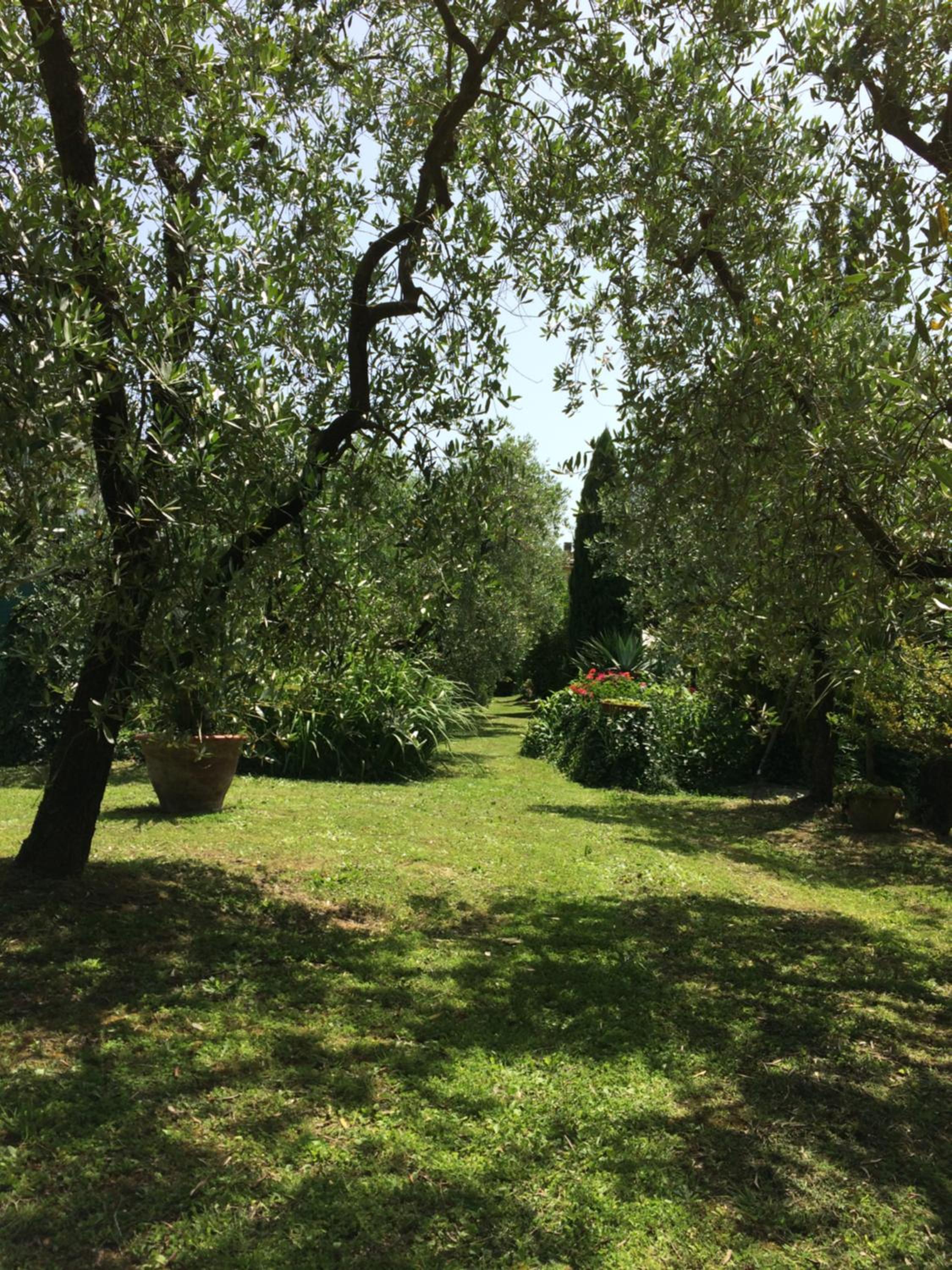Photo 36