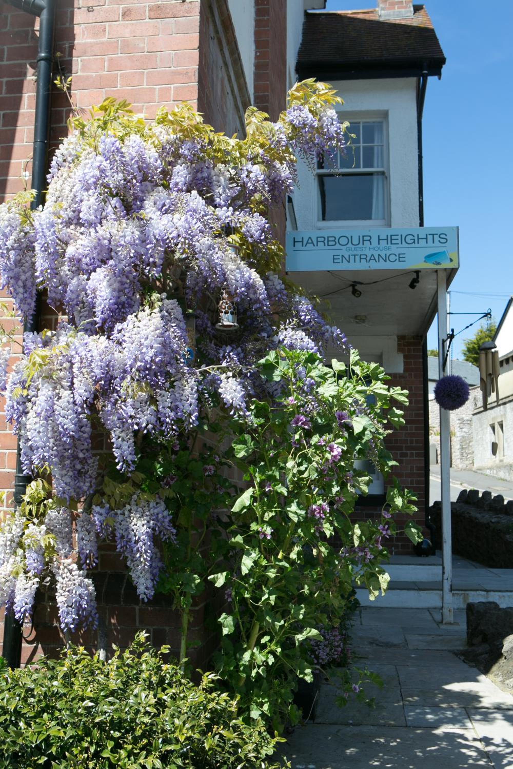 Harbour Heights Guest House view 4