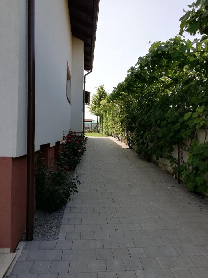 Casa Borza
