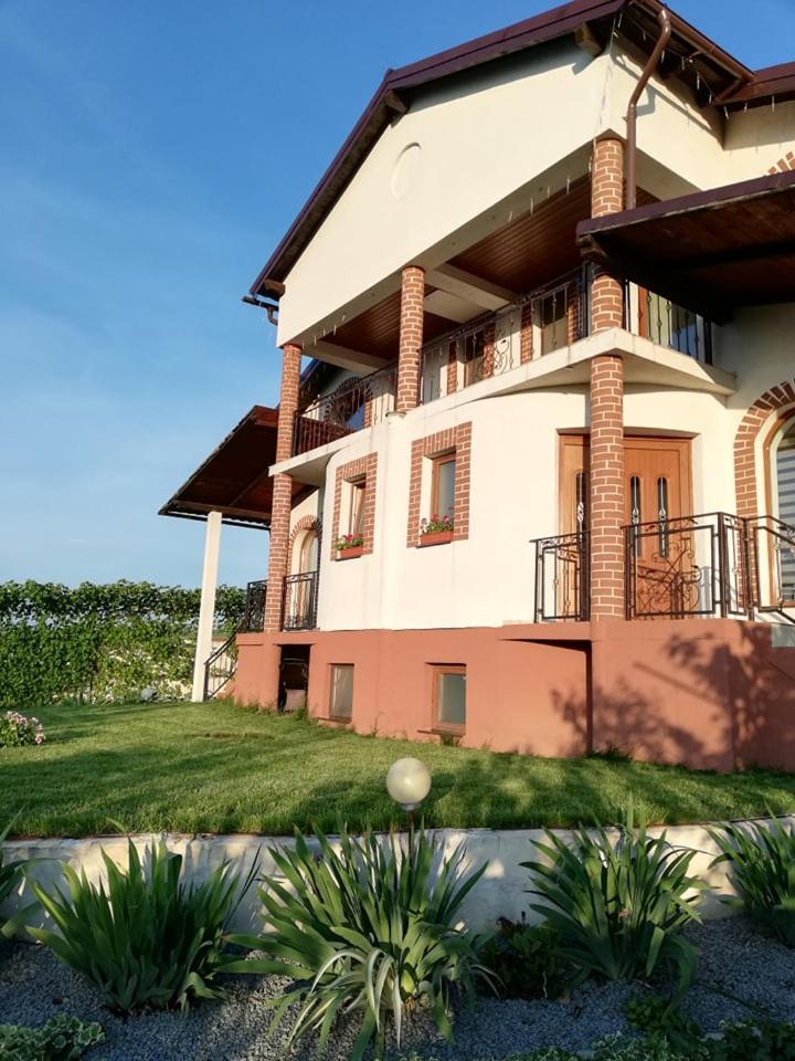 Casa Borza