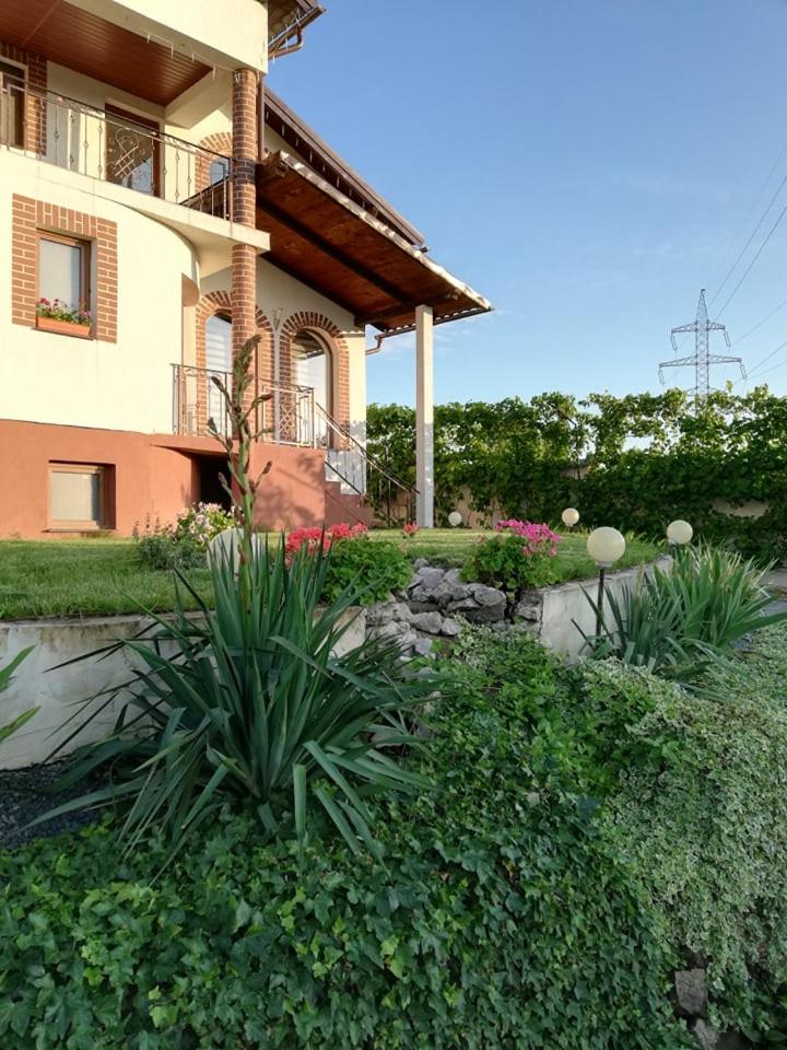 Casa Borza