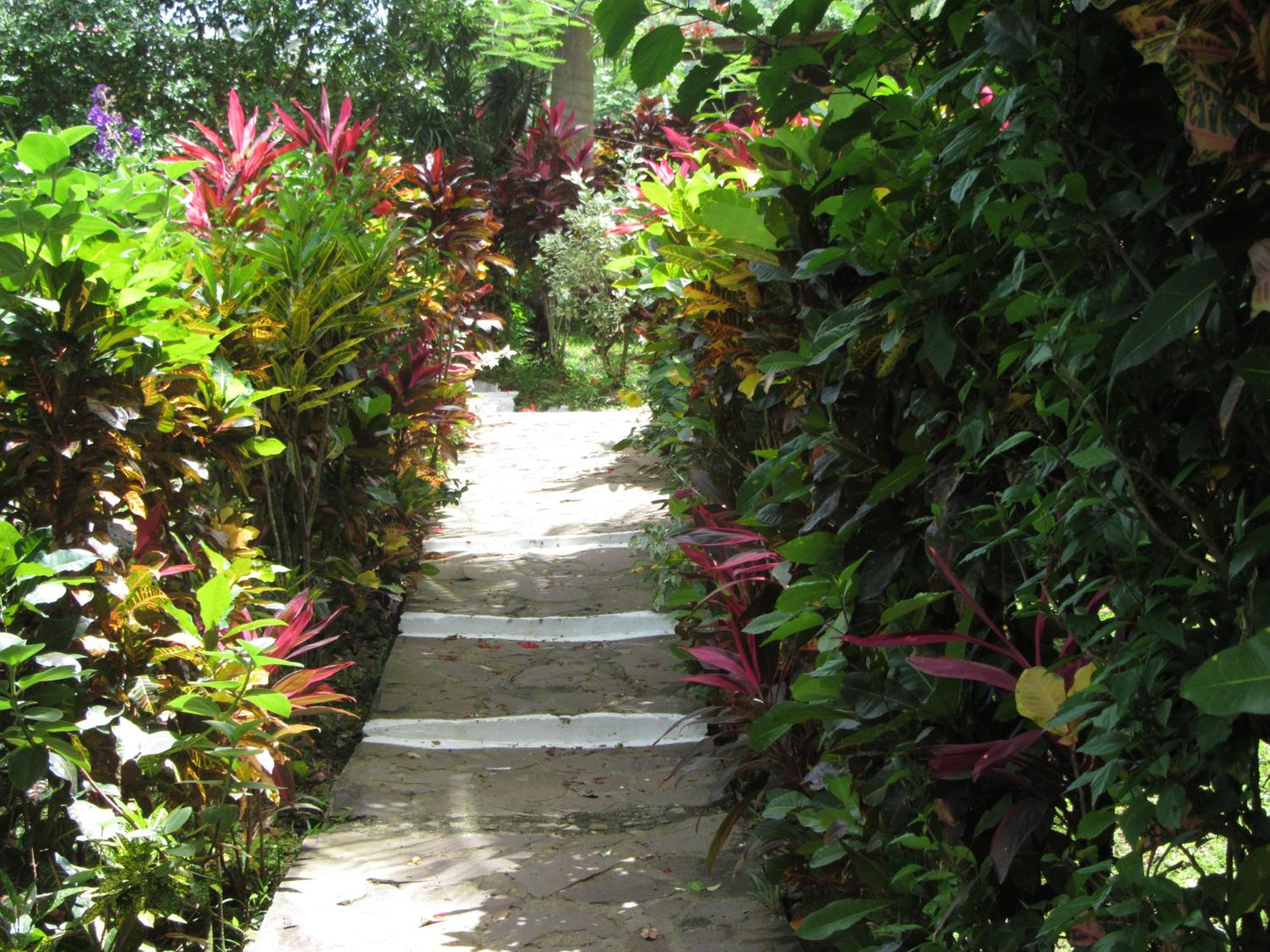 Hibiscus Valley Inn