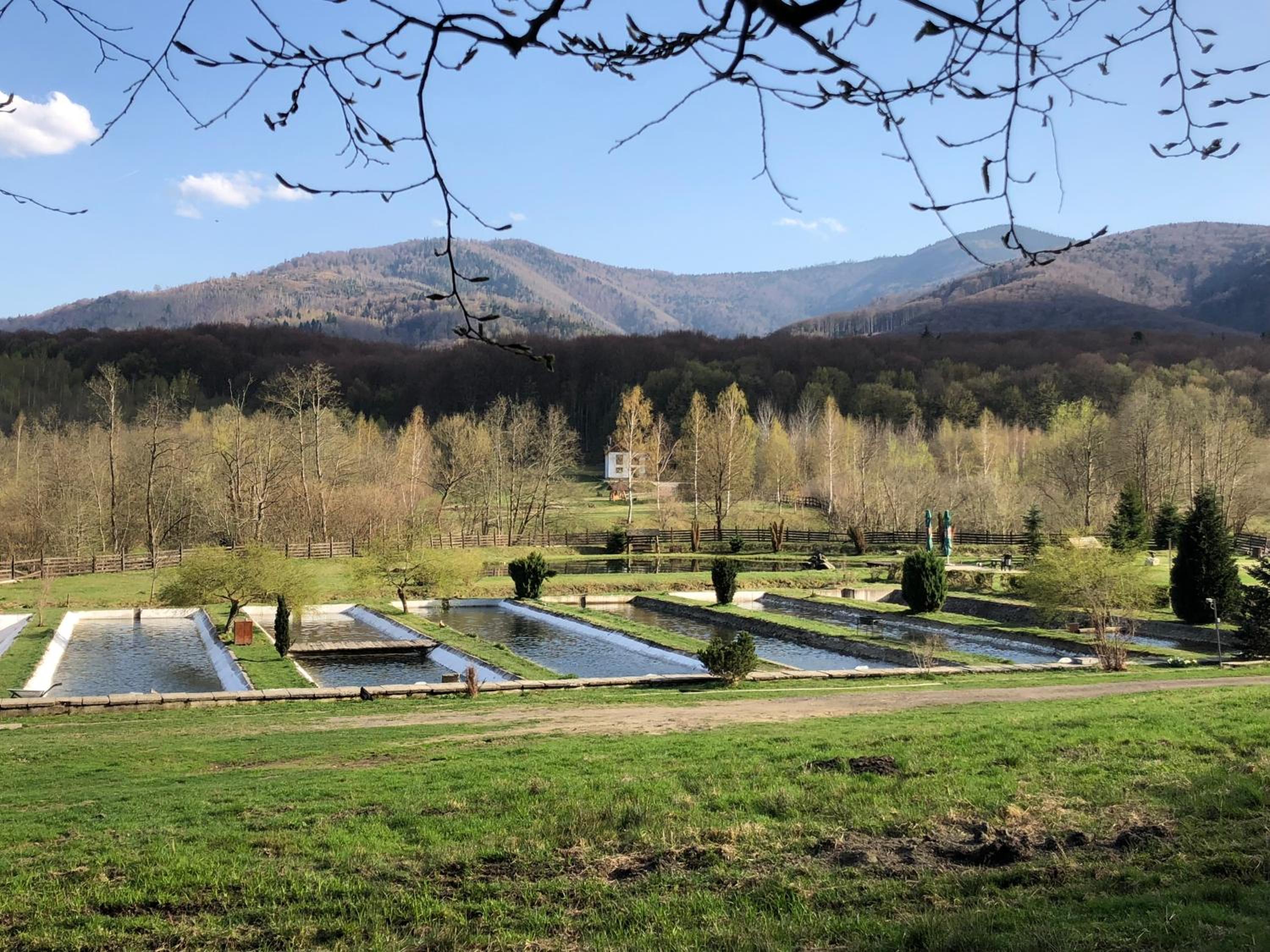 Valea Salbatica