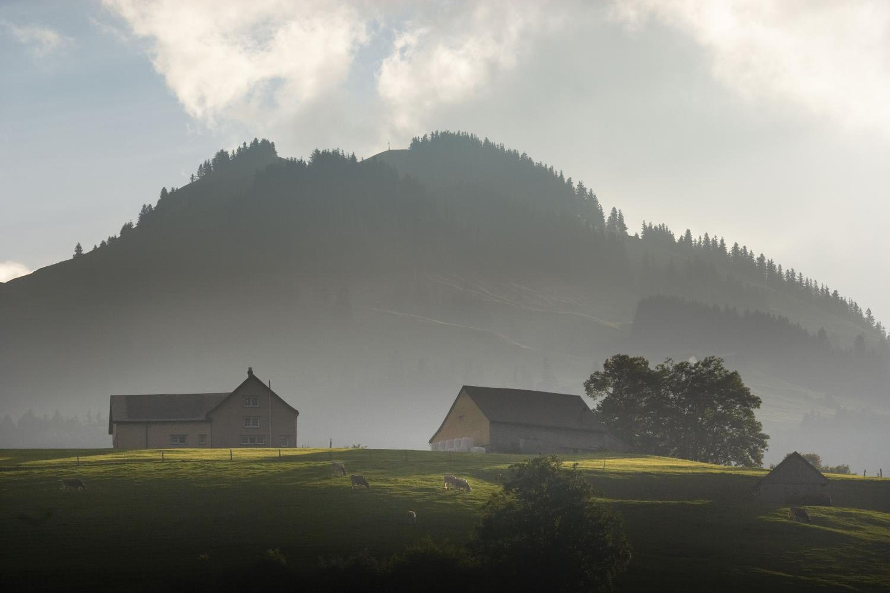Lodge Hof Weissbad