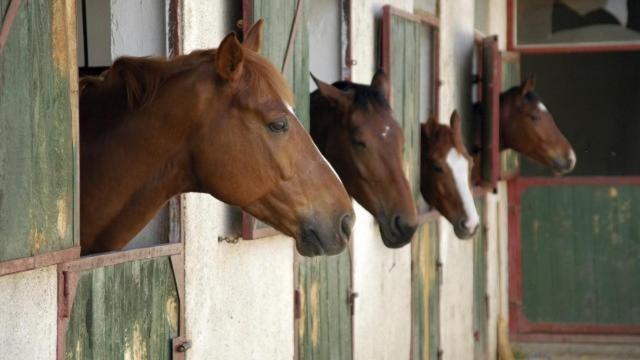 The Stables - Deer Park Farm