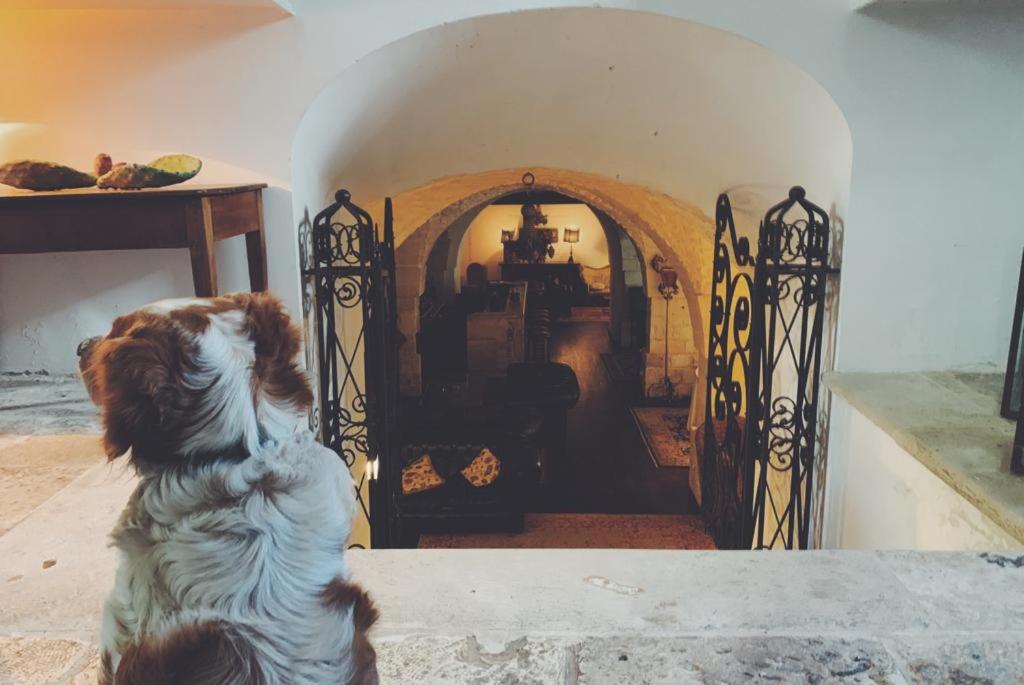 Borgo trulli 1789 photo 4