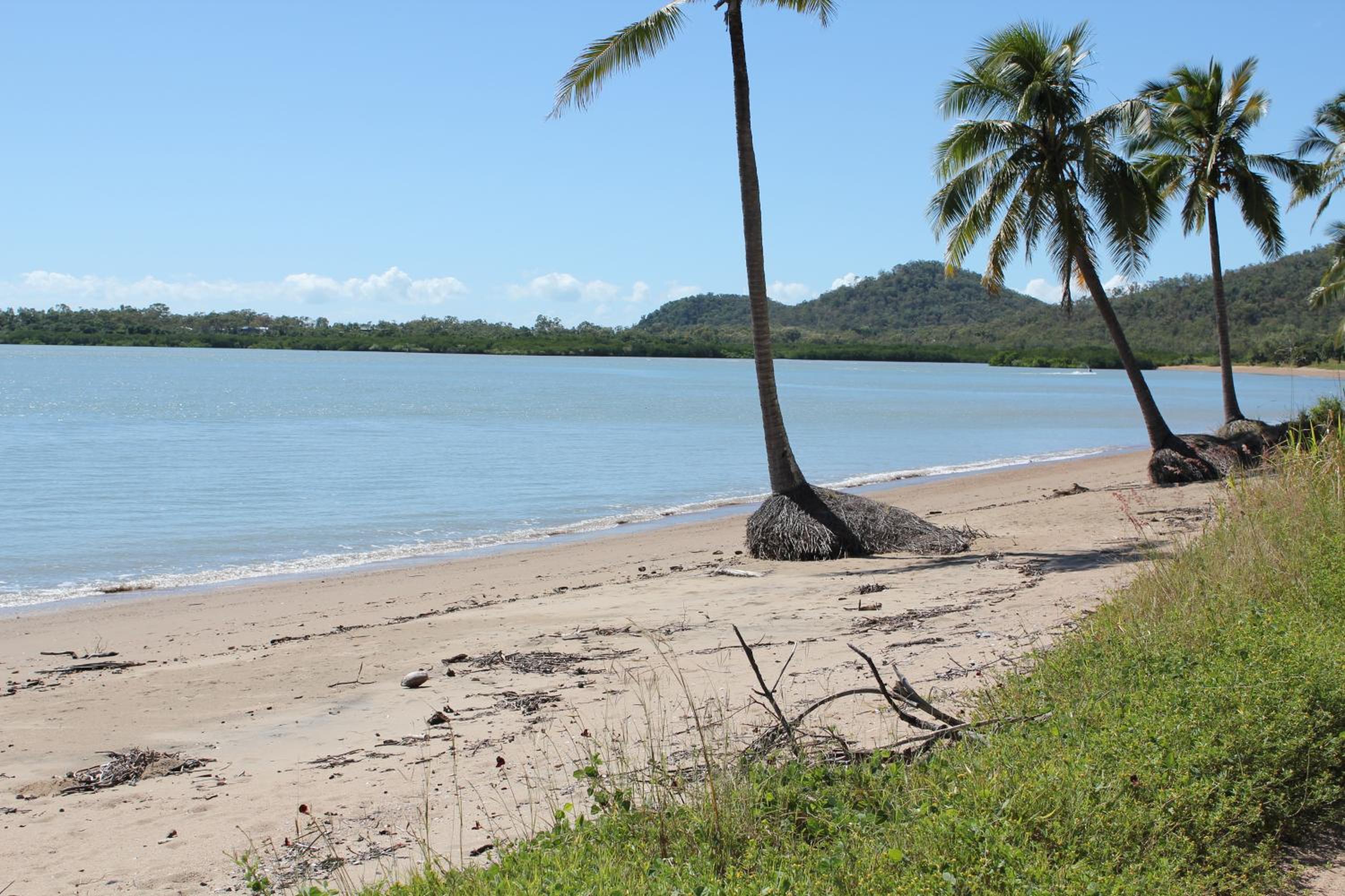 other