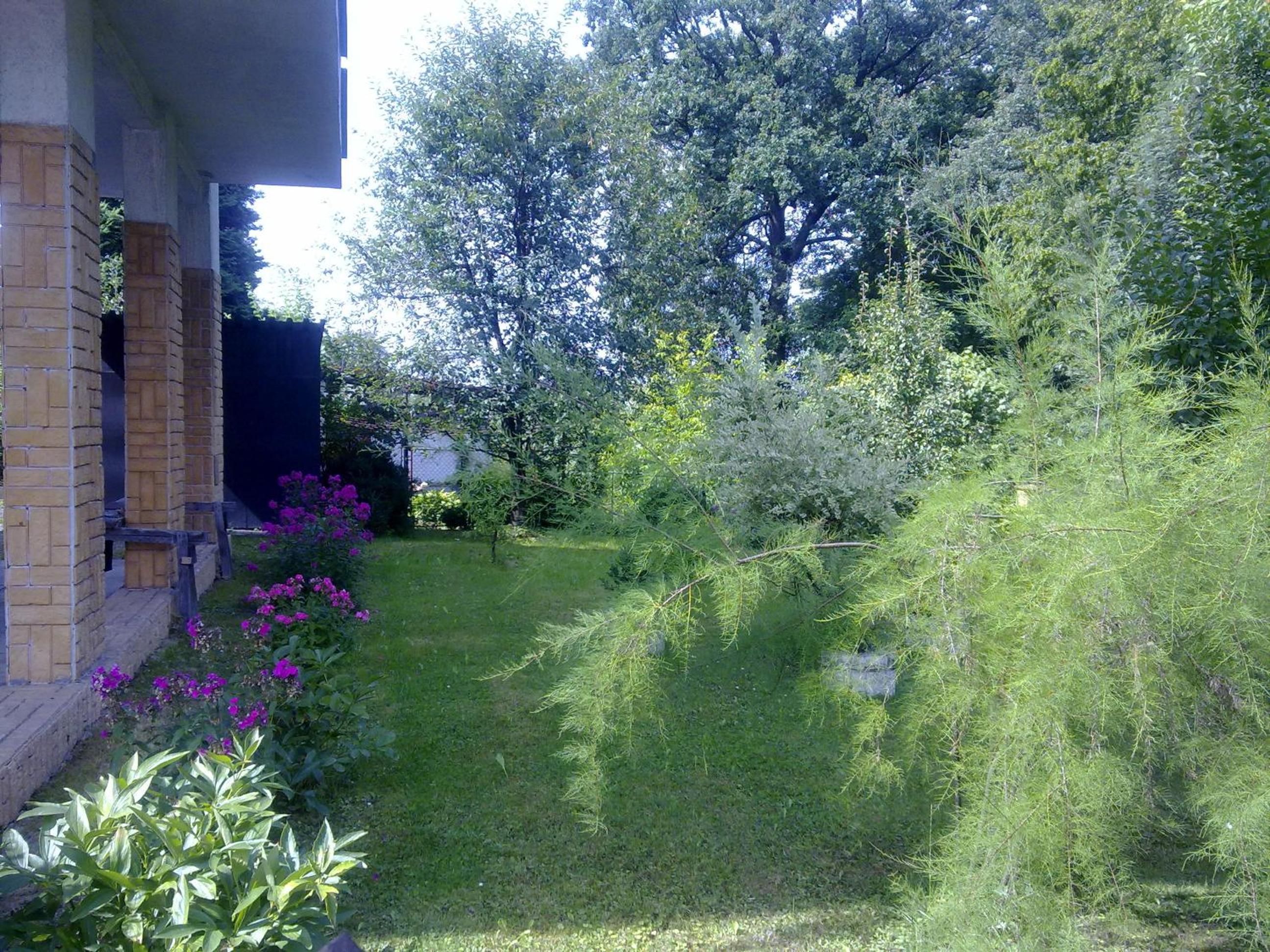 Studánka