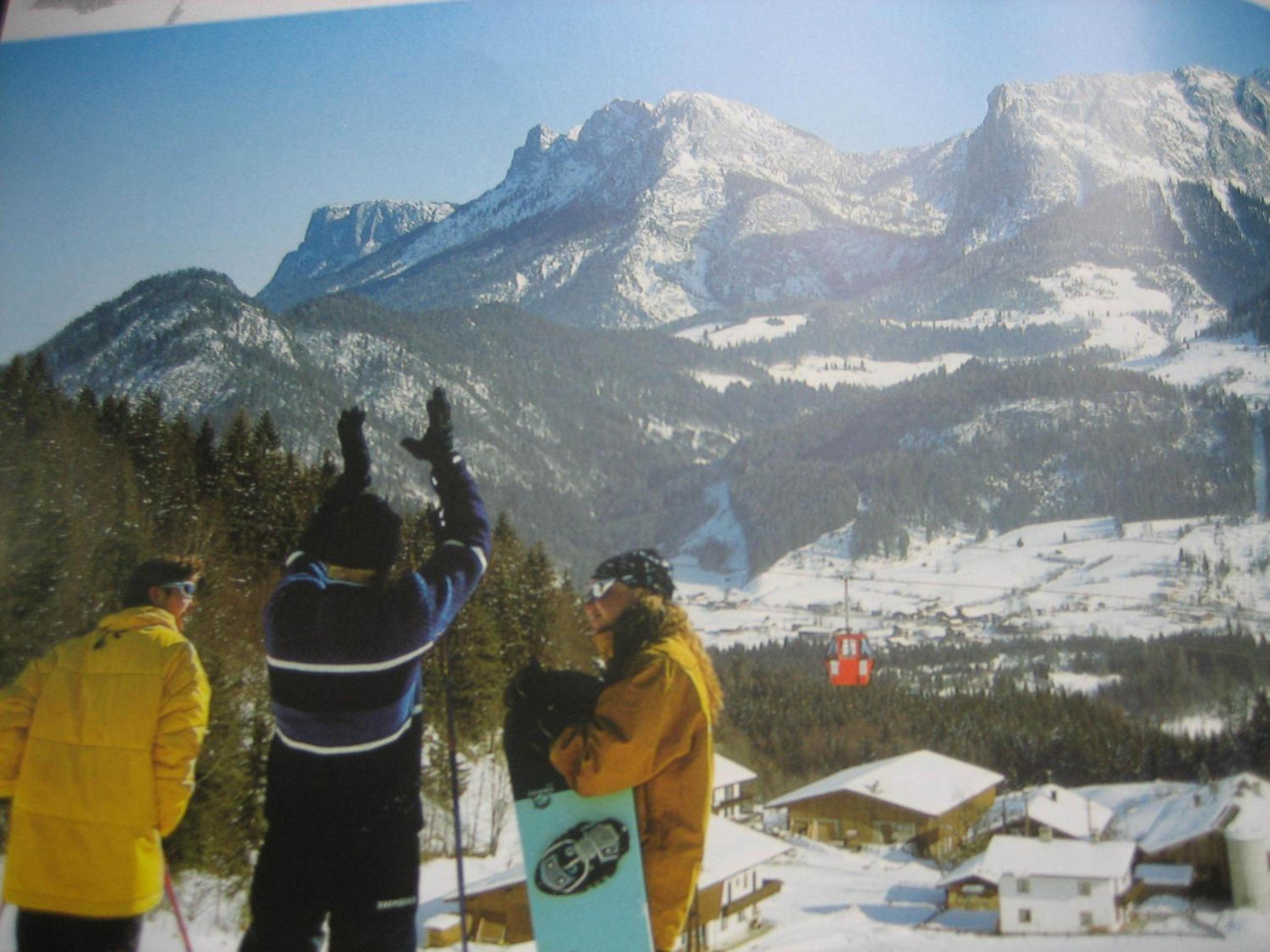 Photo 50