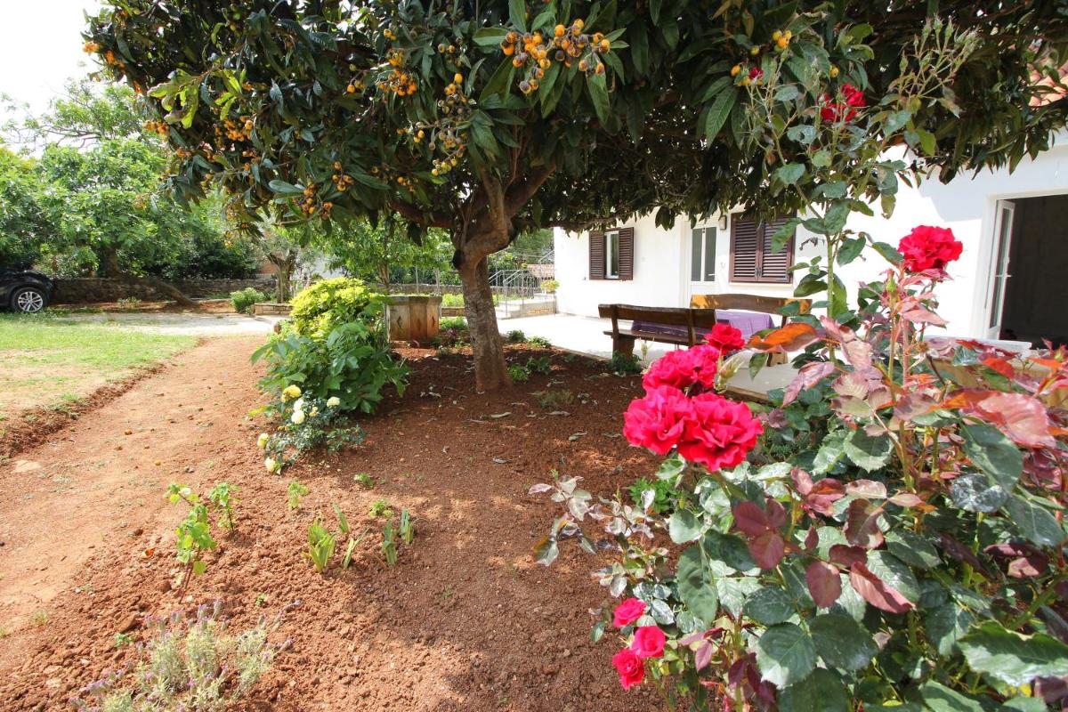 Casa Lidija view 5