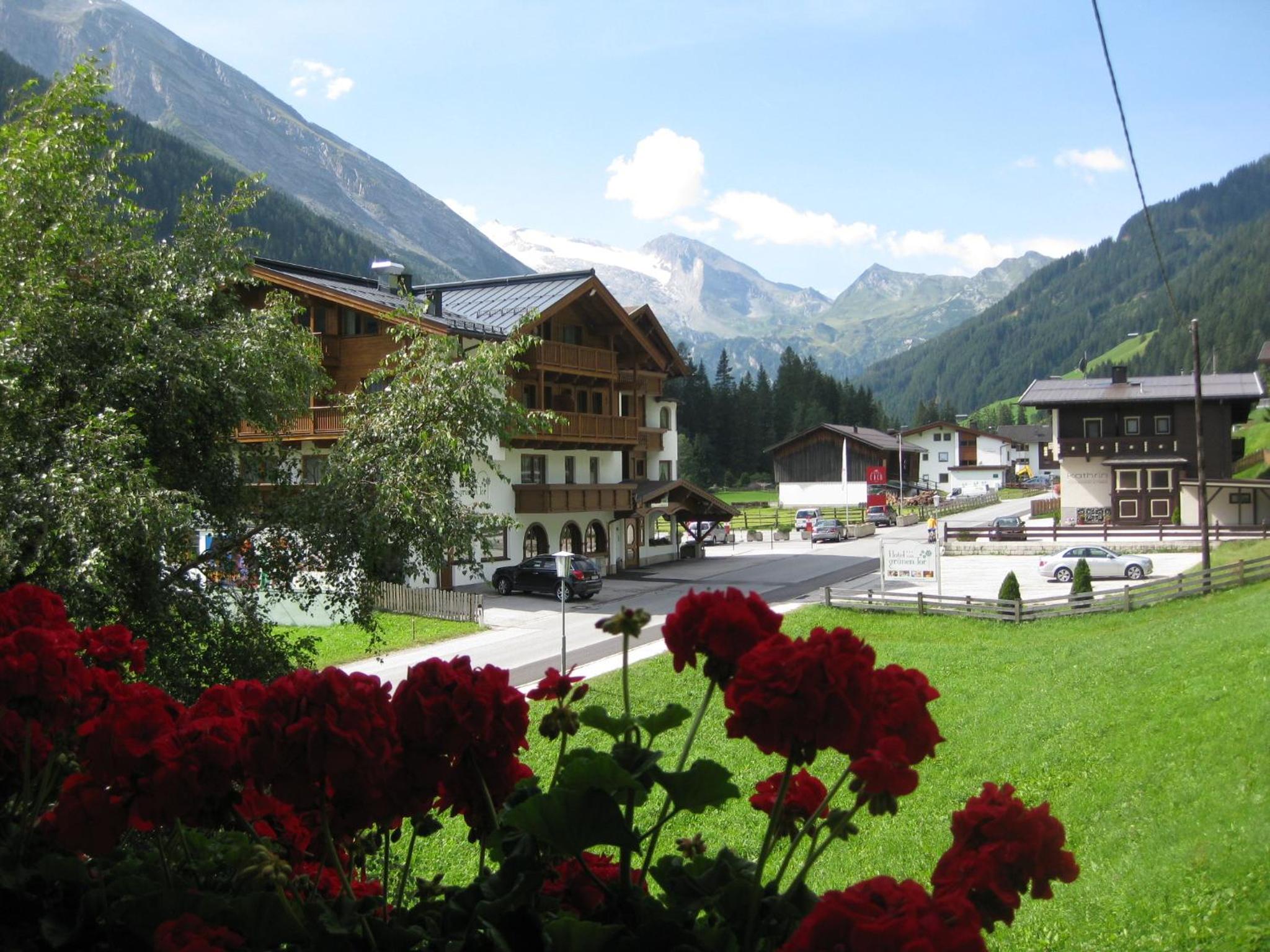 Haus Brigitta view 3