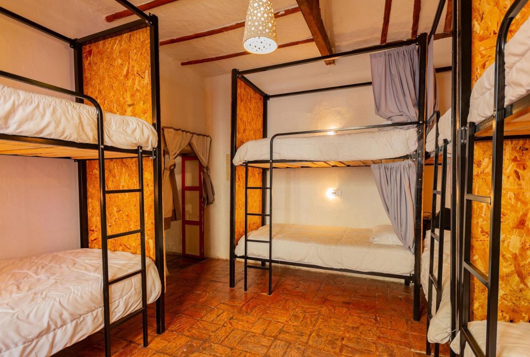 Botanico Hostel view 2