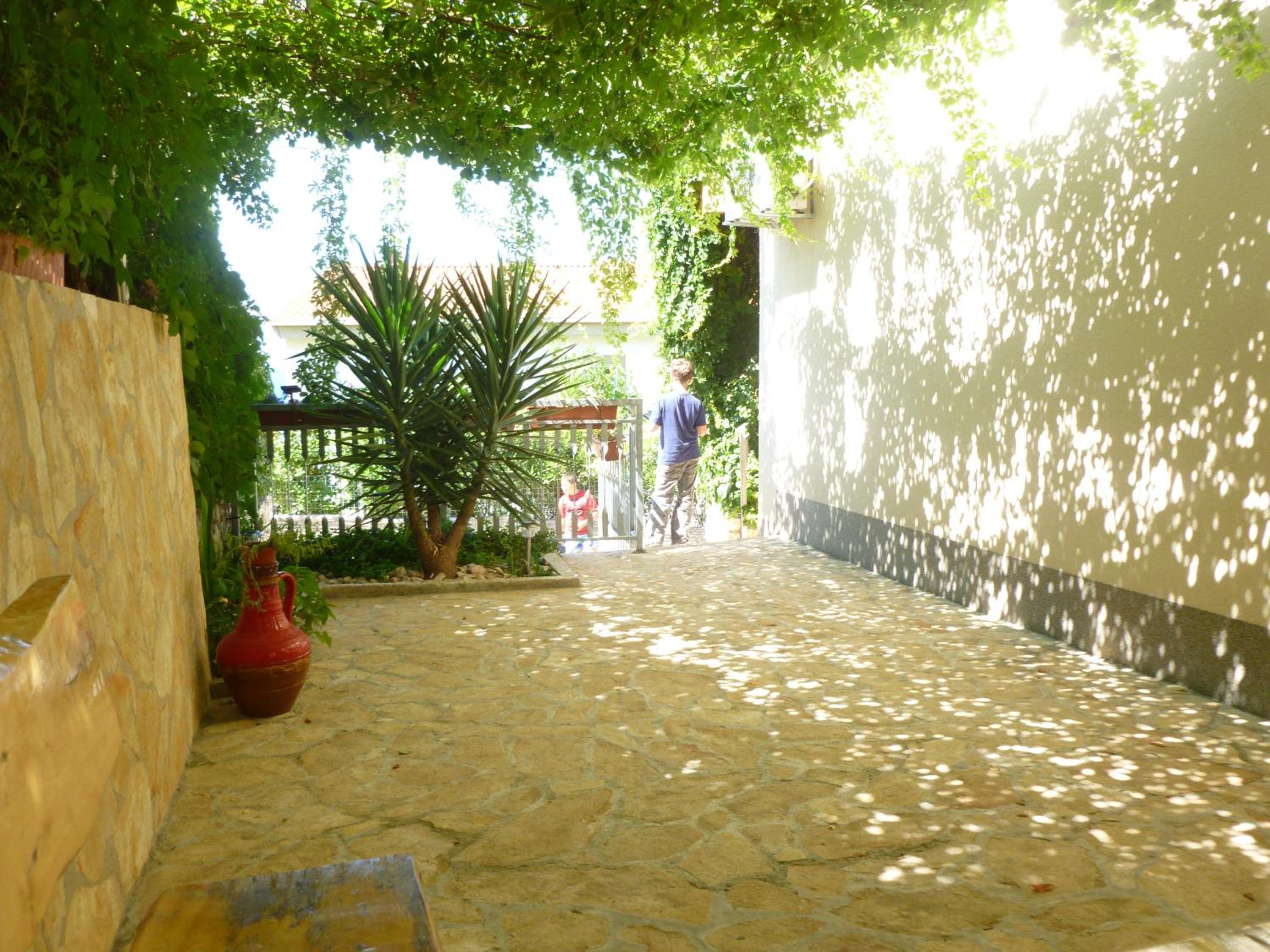 Photo 24