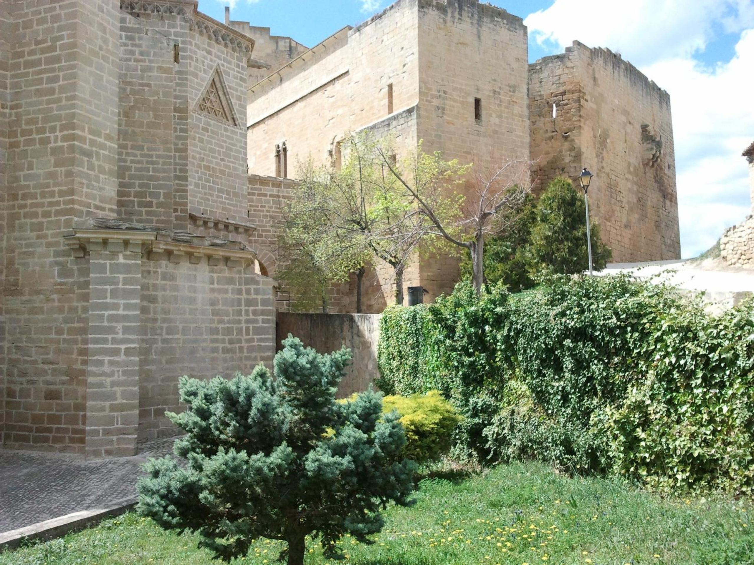 Photo 25