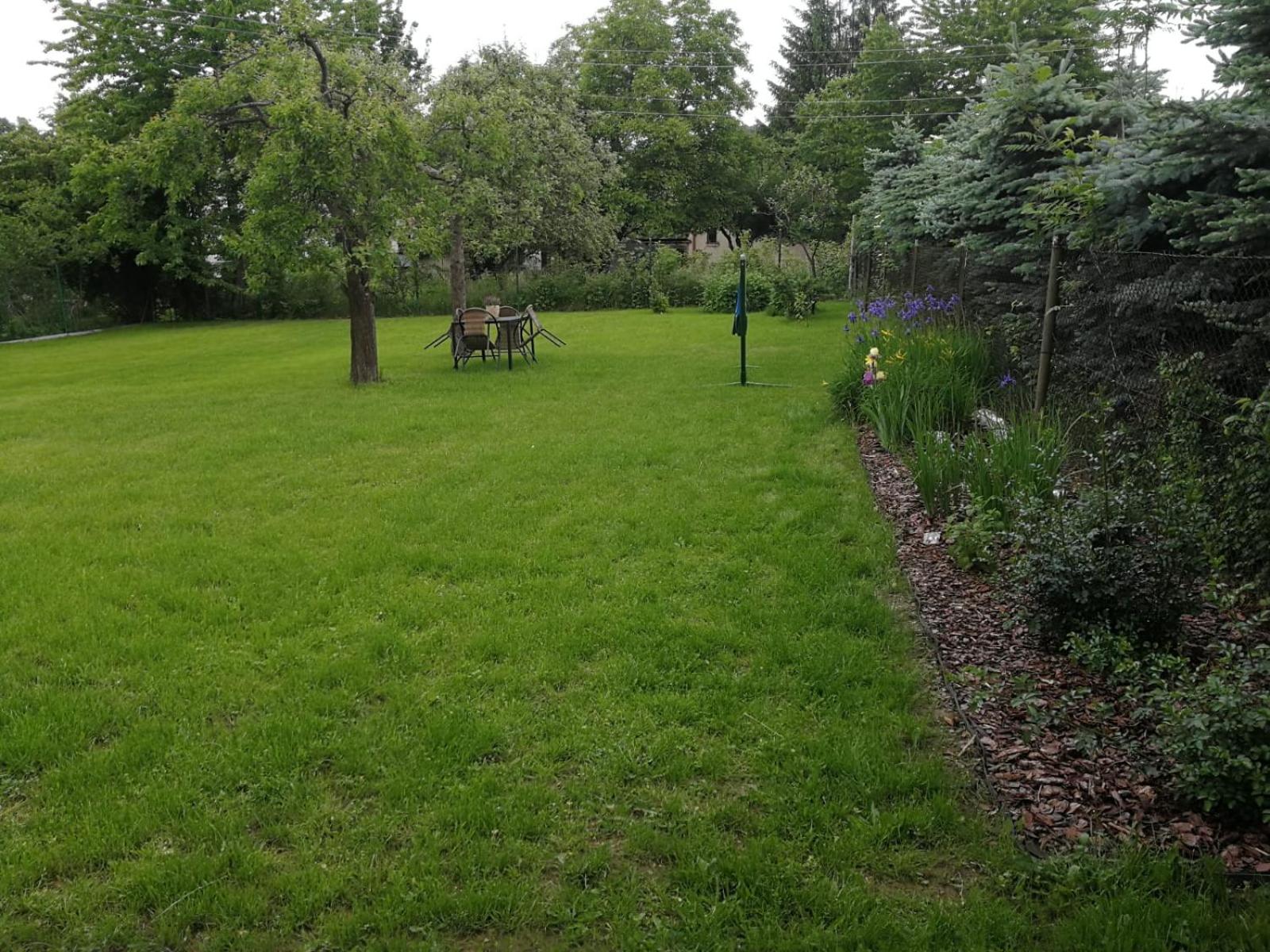 Photo 39