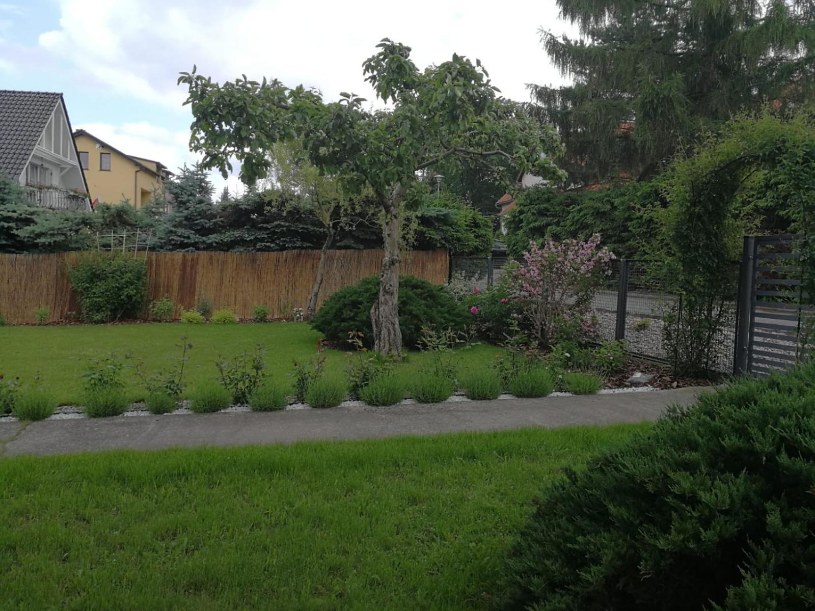 Photo 36