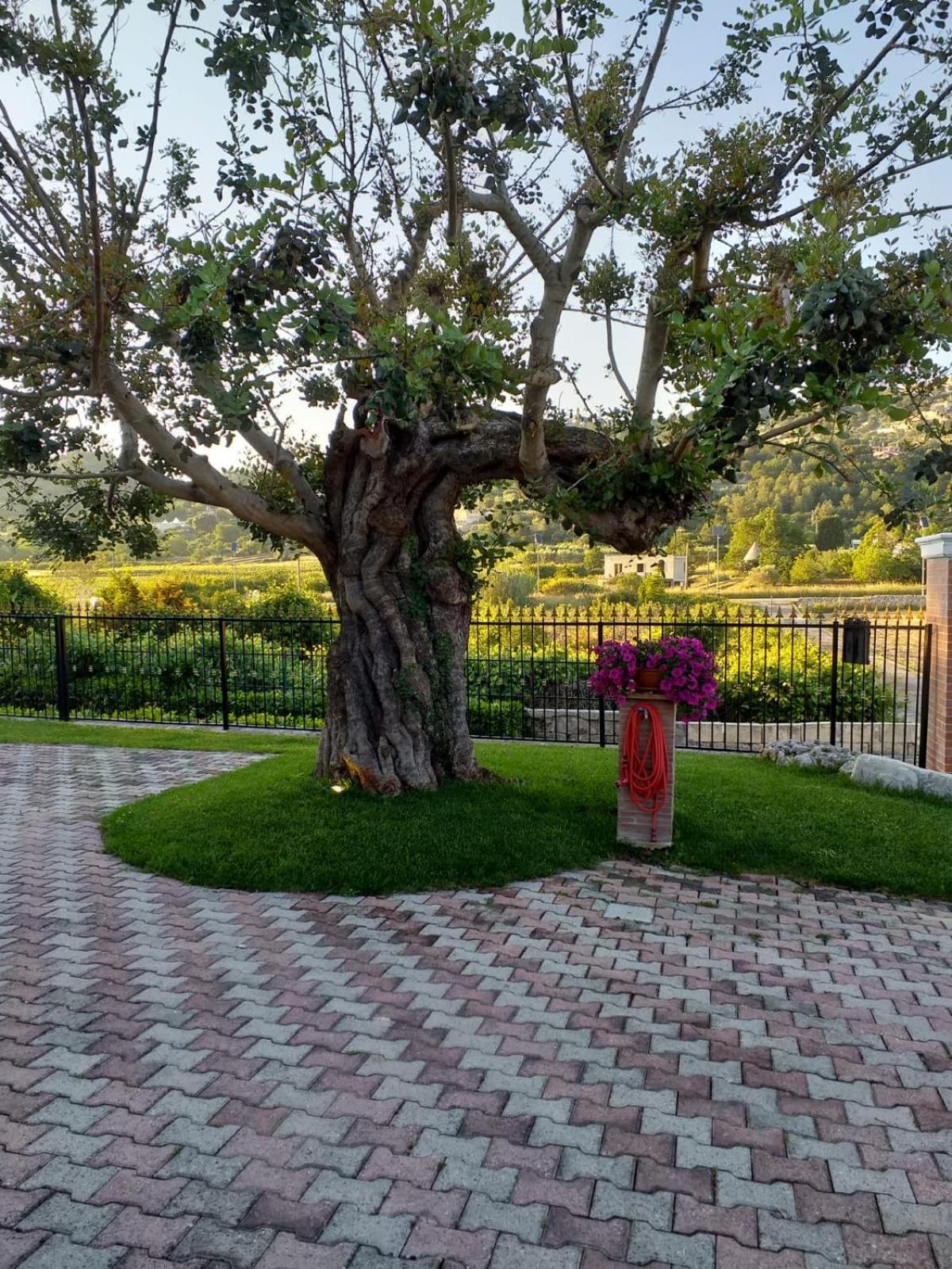 Villa Barone view 5