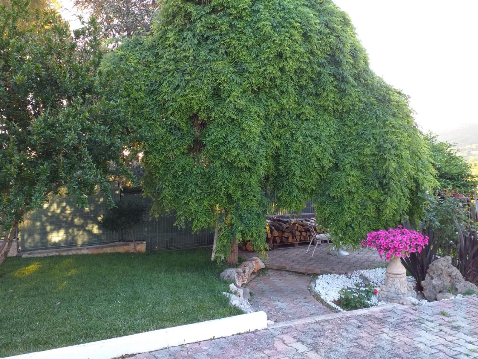 Photo 6