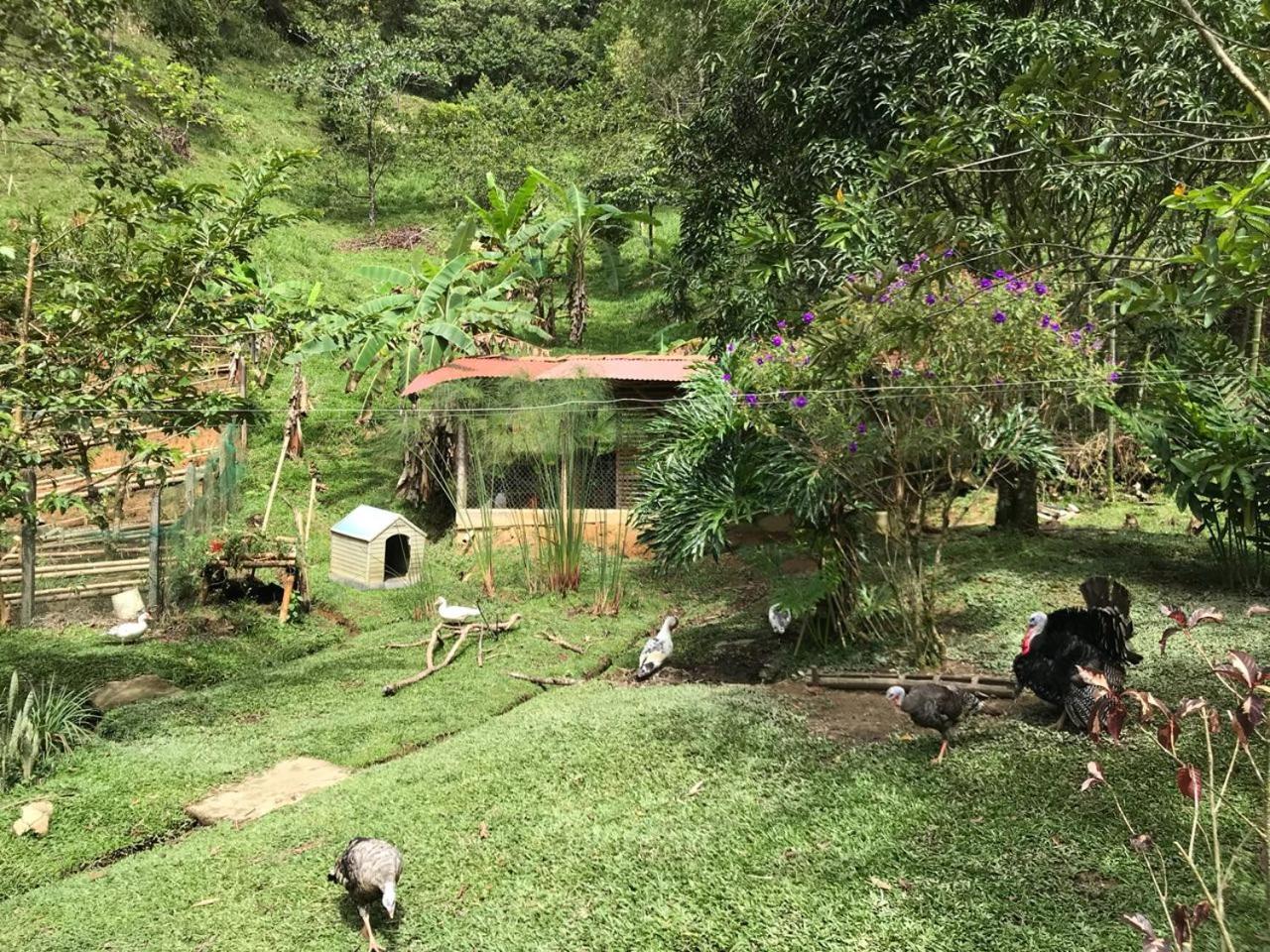 ESTACION PARAISO DE DANTAS