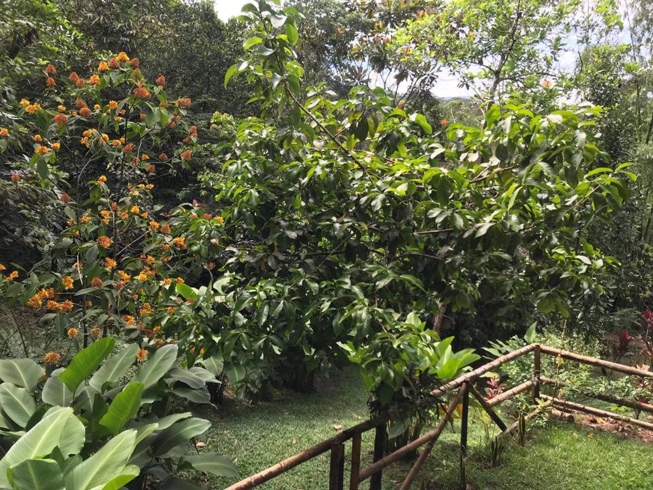 ESTACION PARAISO DE DANTAS