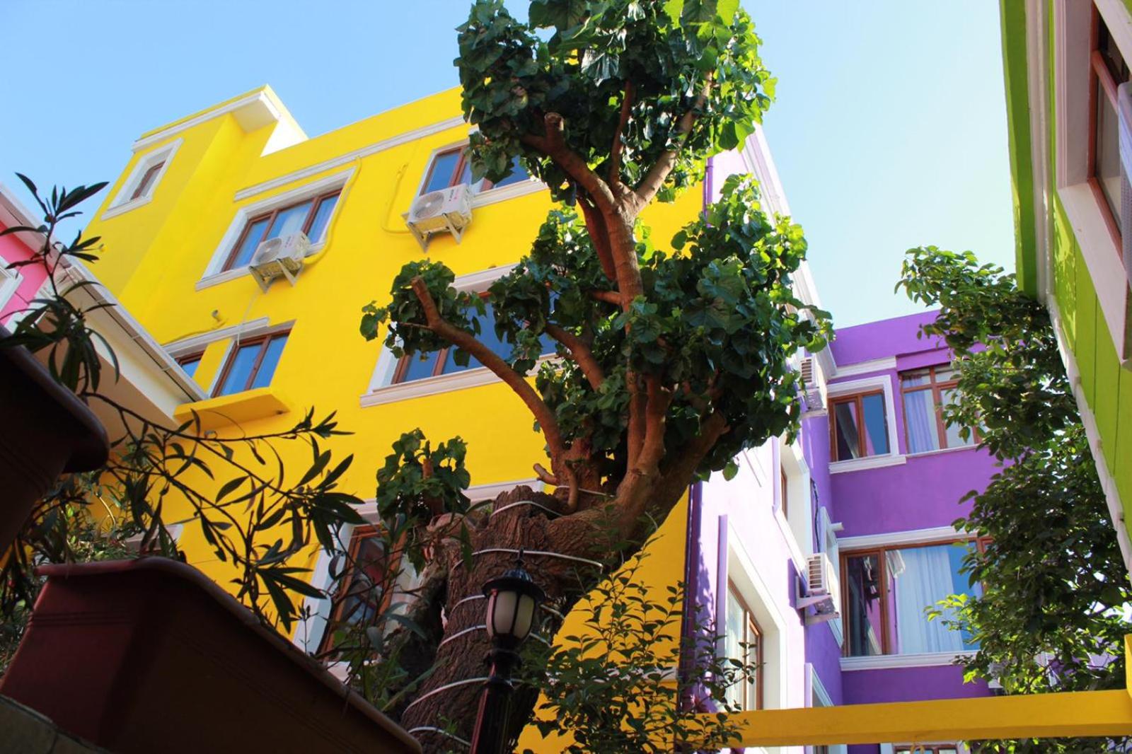 The Zanadu İstanbul - Image 9