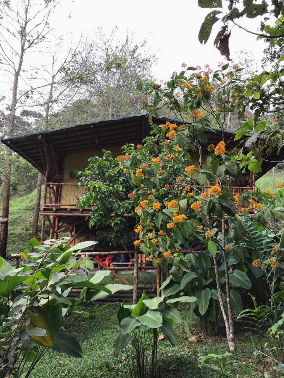 ESTACION PARAISO DE DANTAS