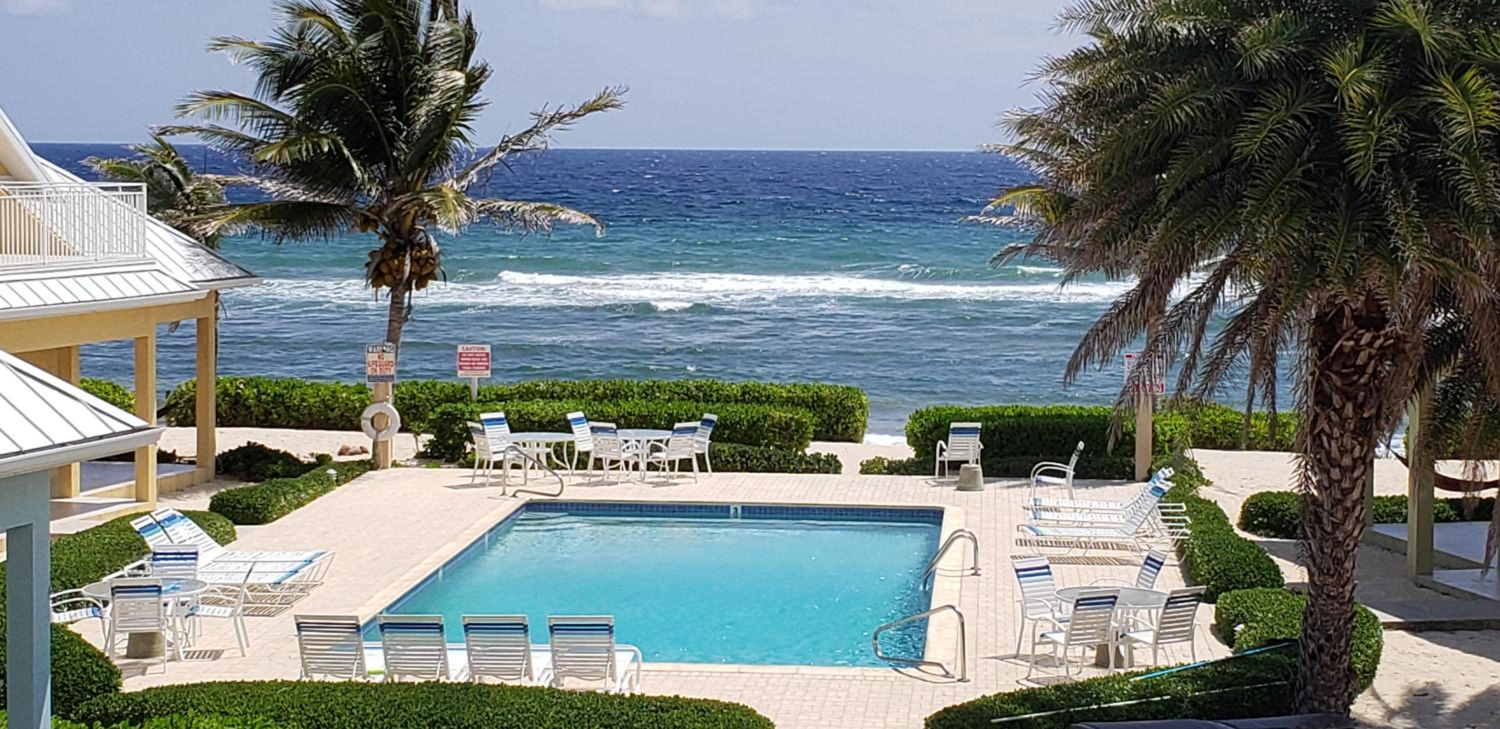 Photo 244