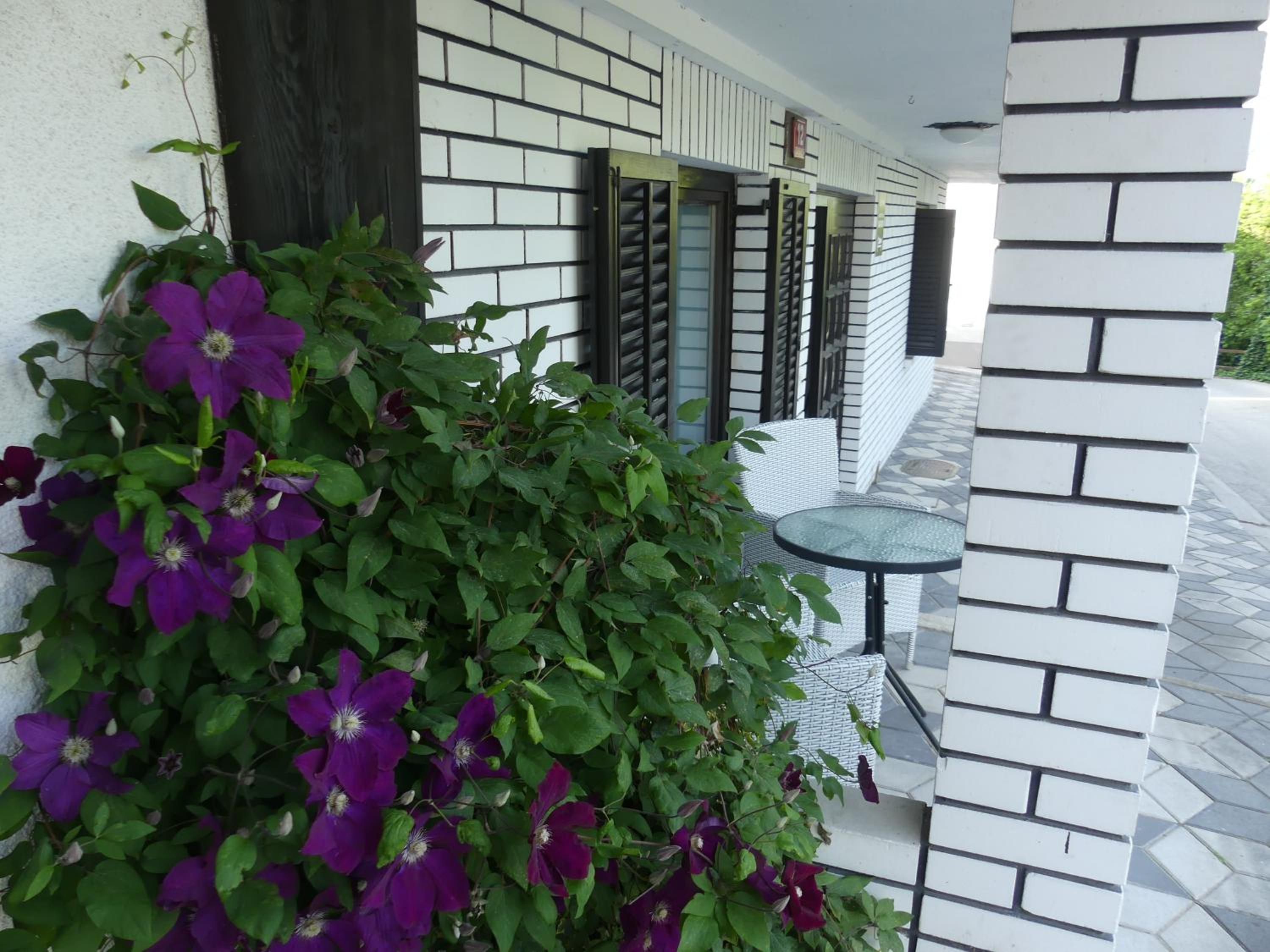 Apartmaji Baron view 4